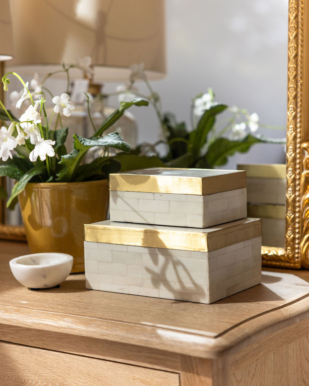 Brass Trim Bone Box | Medium
