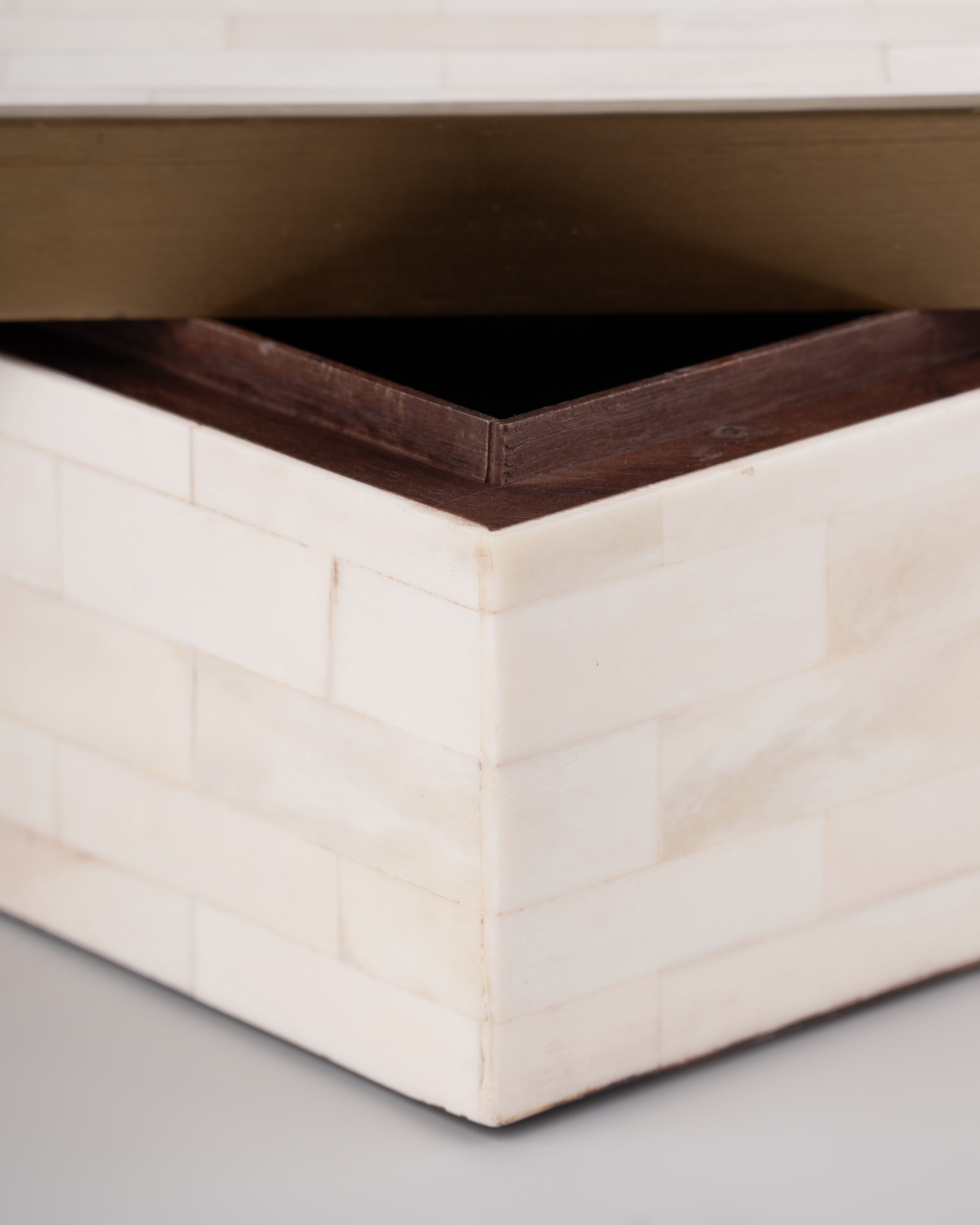 Brass Trim Bone Box | Large