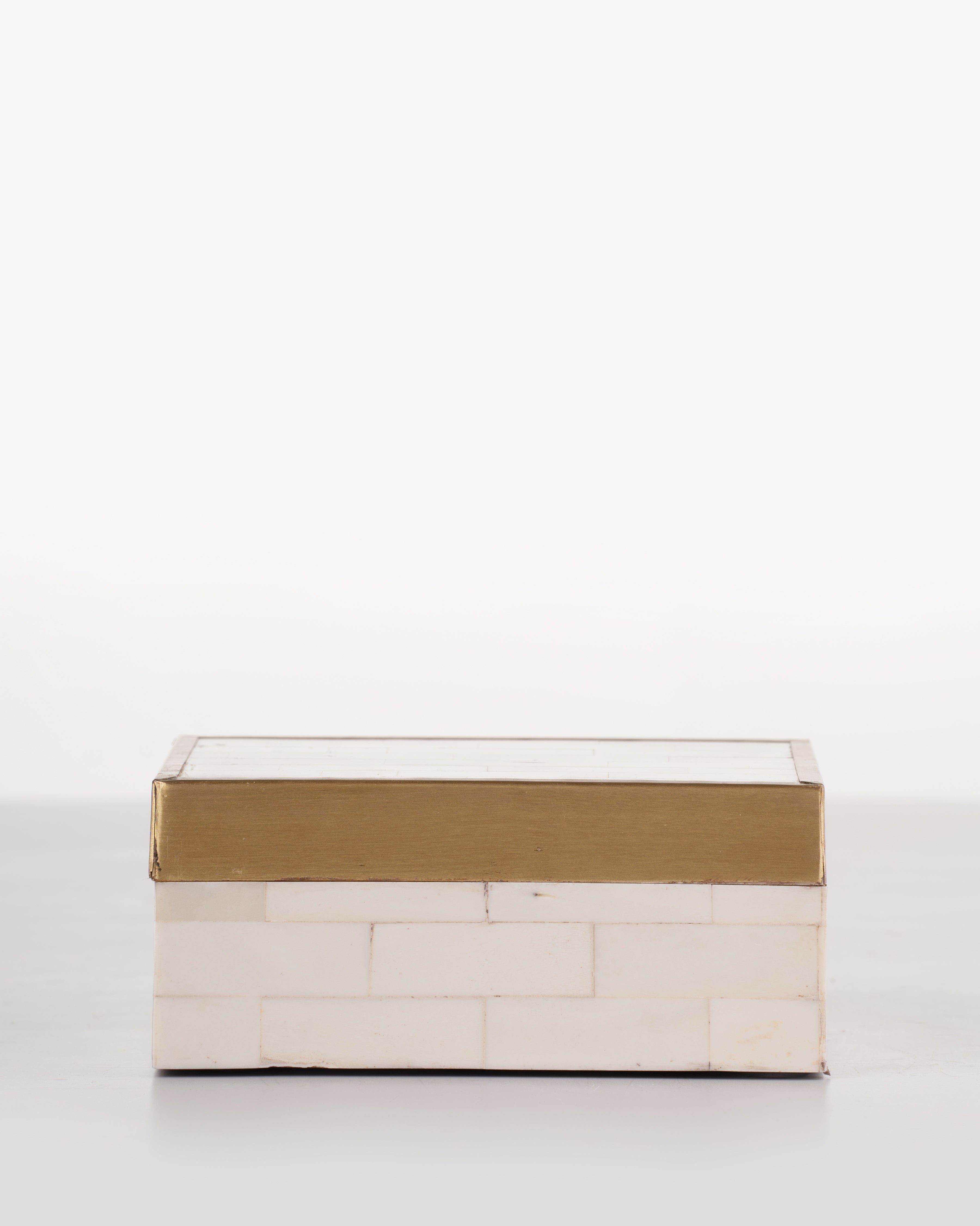Brass Trim Bone Box | Medium