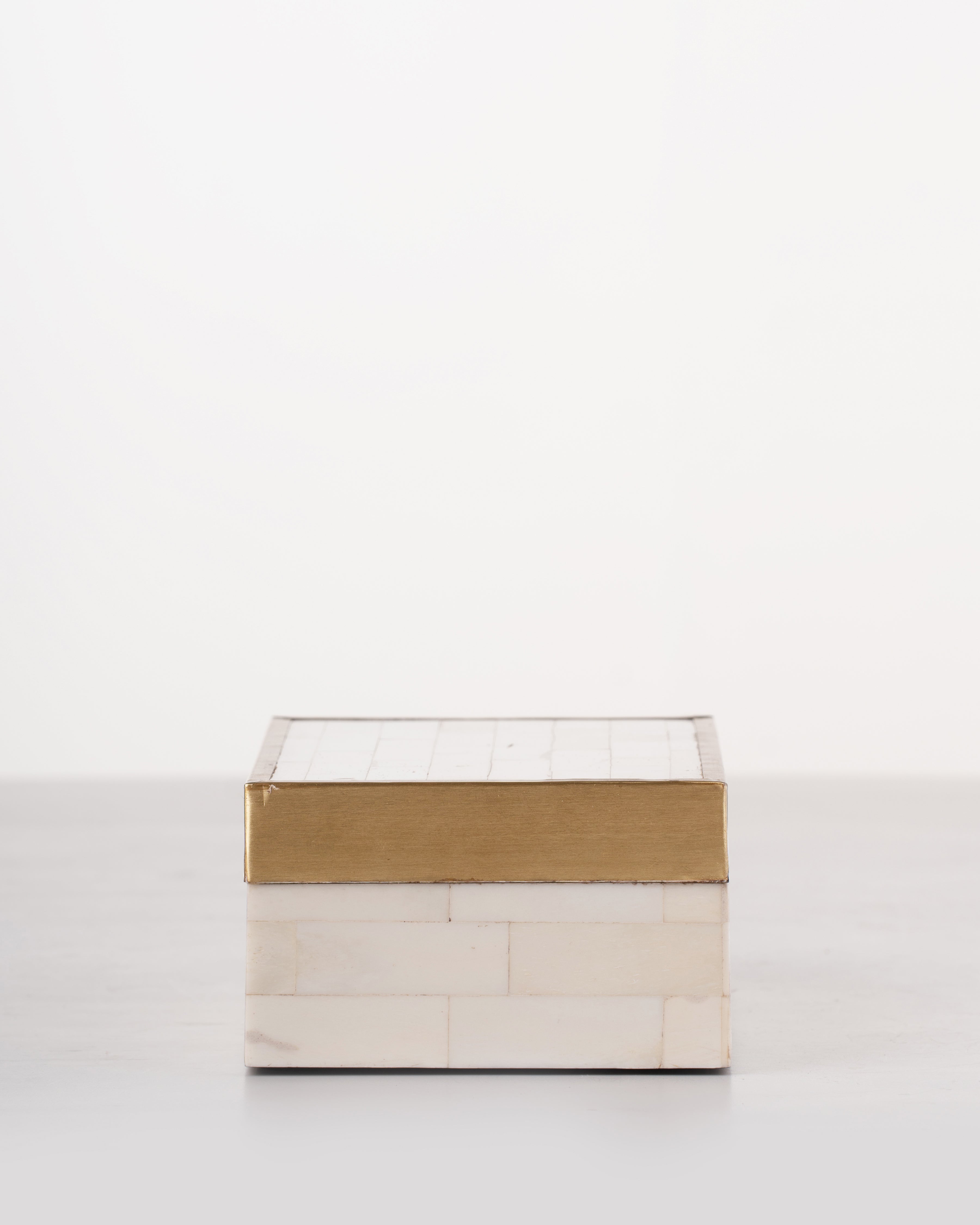 Brass Trim Bone Box | Medium