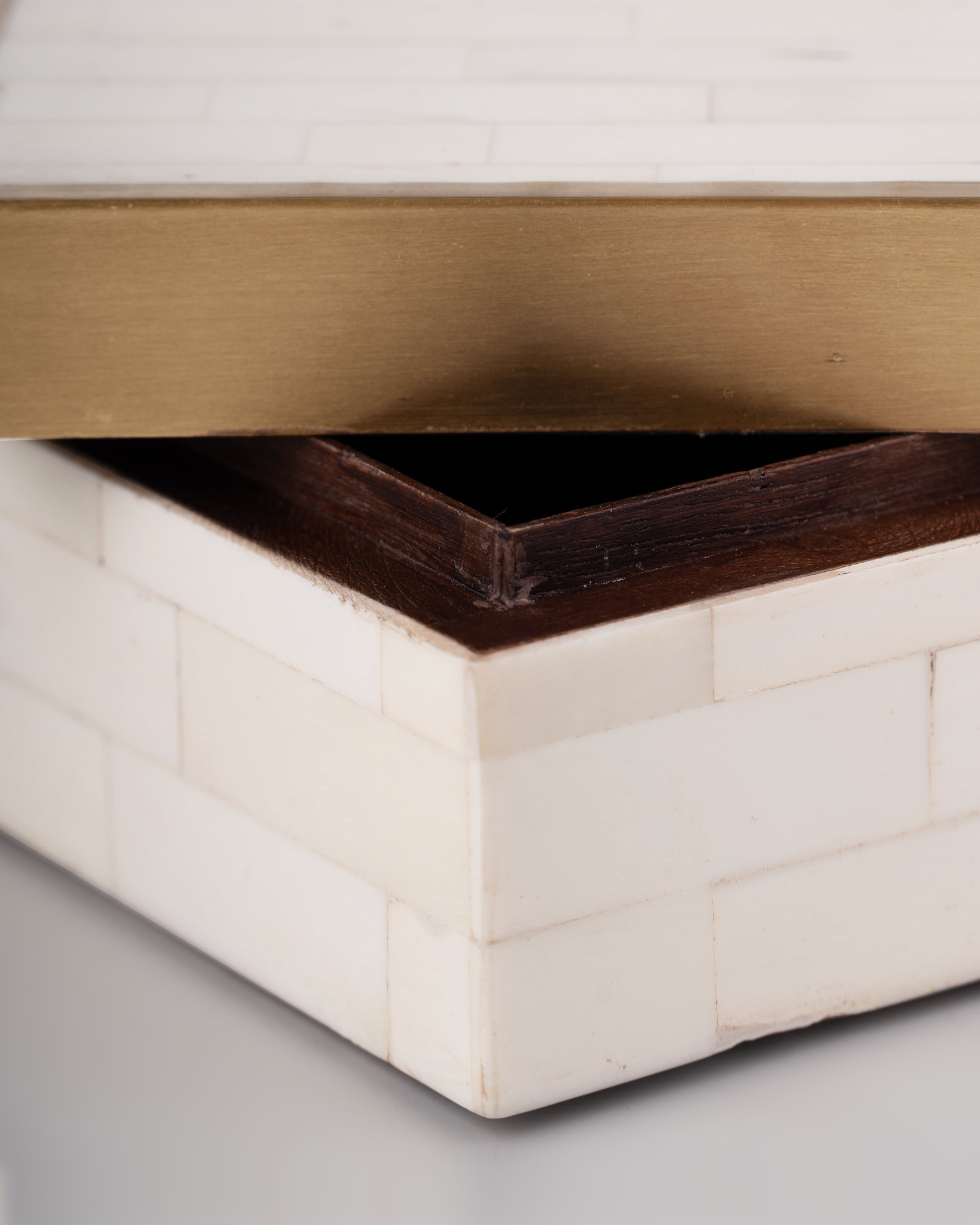 Brass Trim Bone Box | Medium