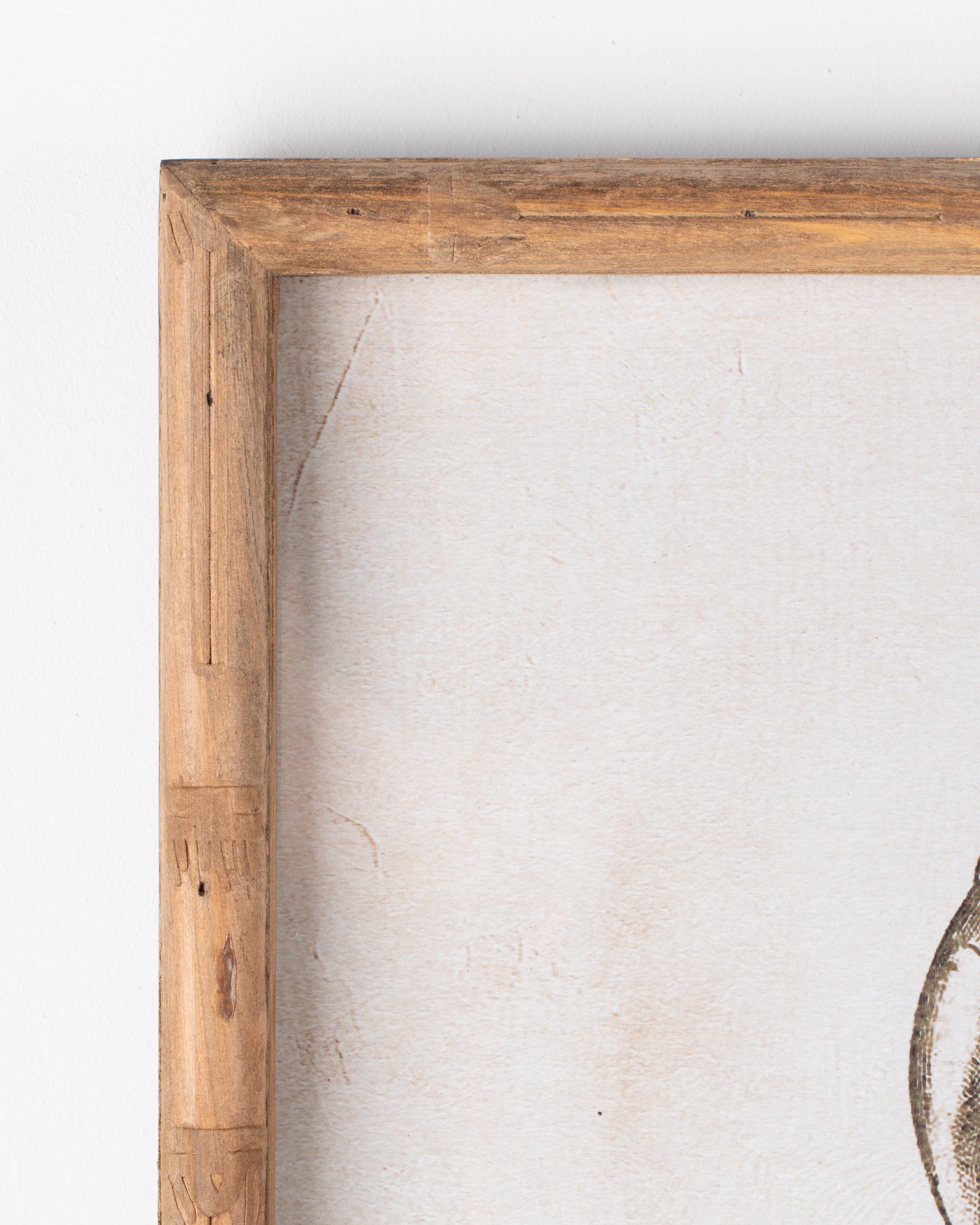 Parrot Framed Wall Art B