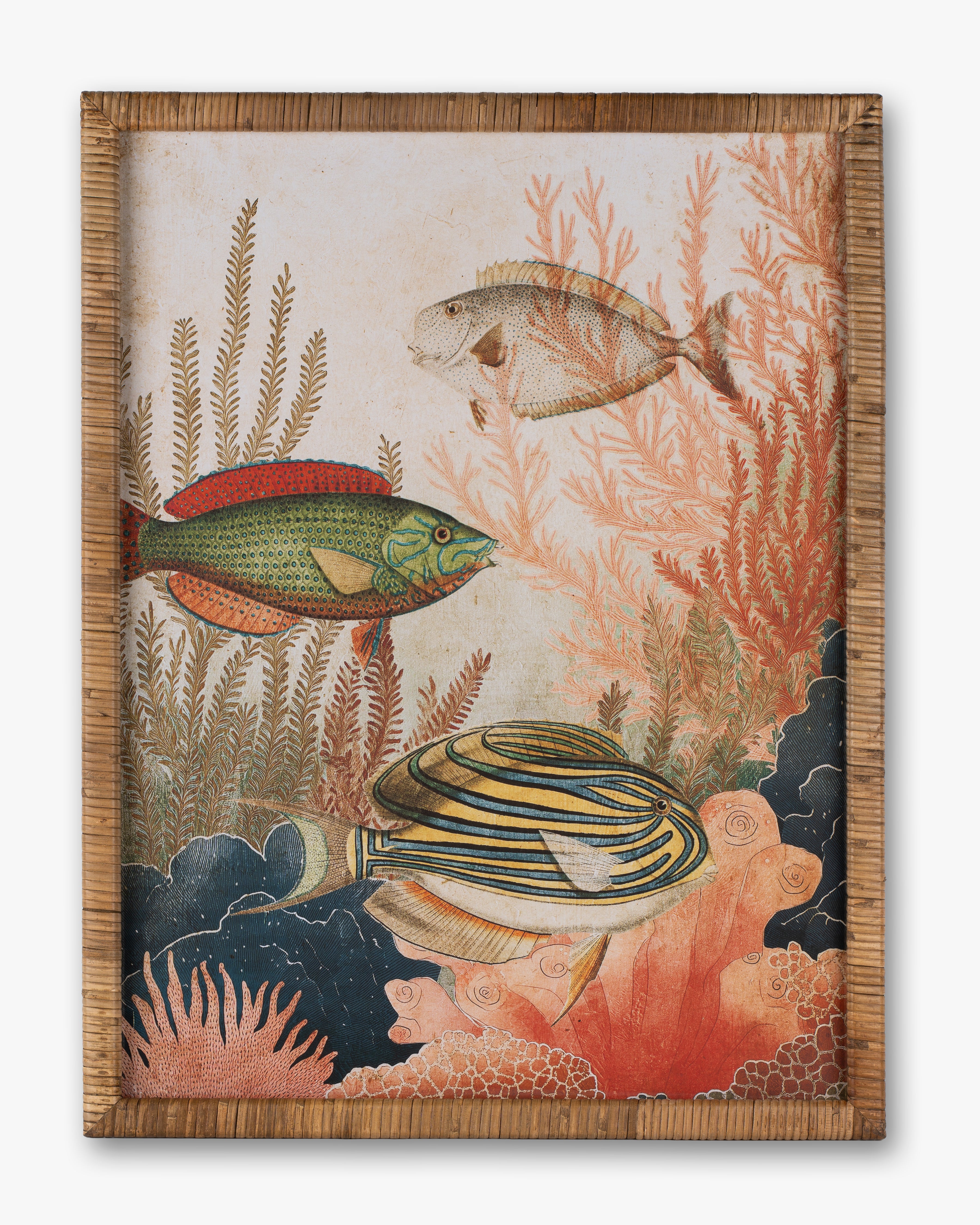Fish Framed Wall Art A