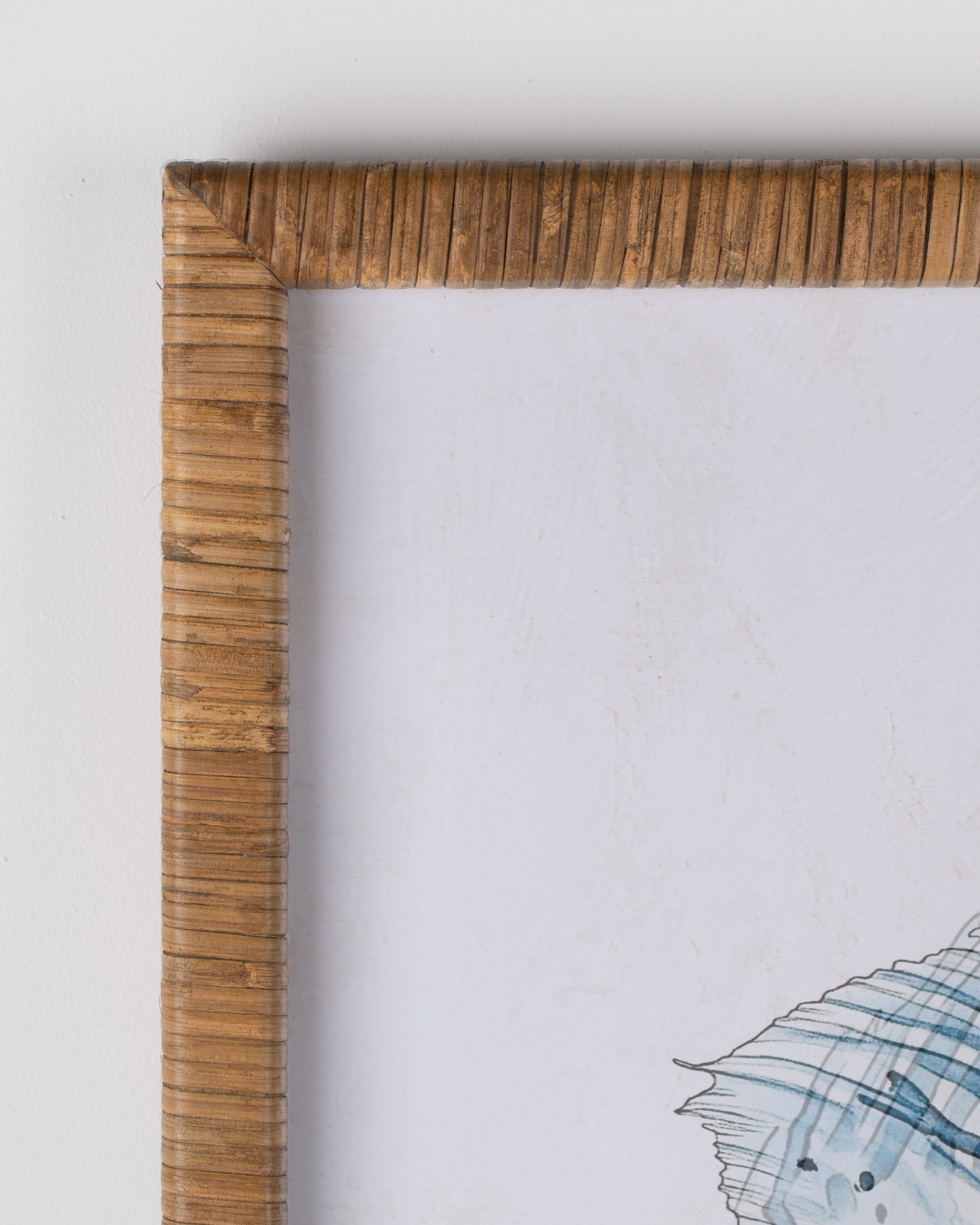 Fish Framed Wall Art A
