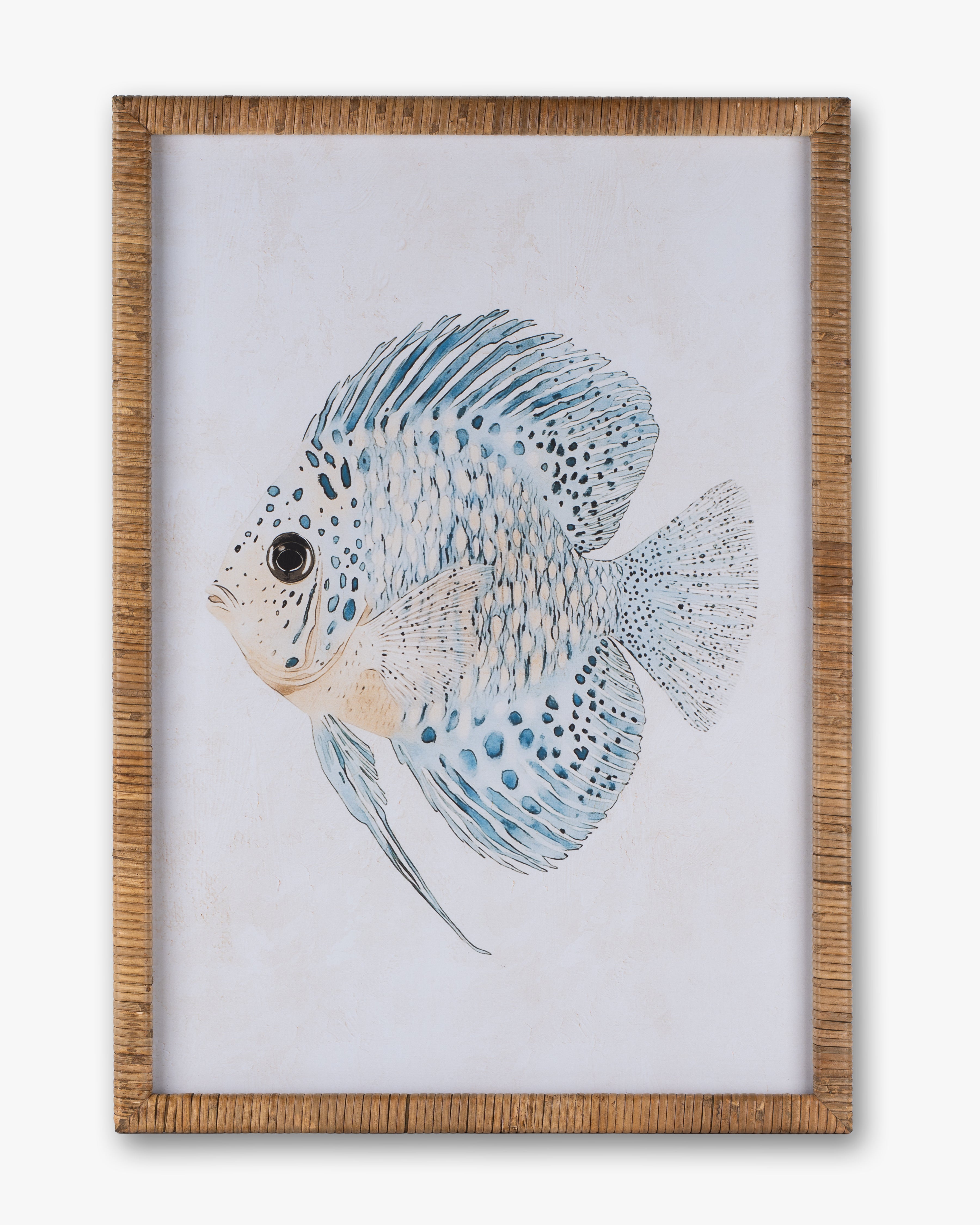 Fish Framed Wall Art B
