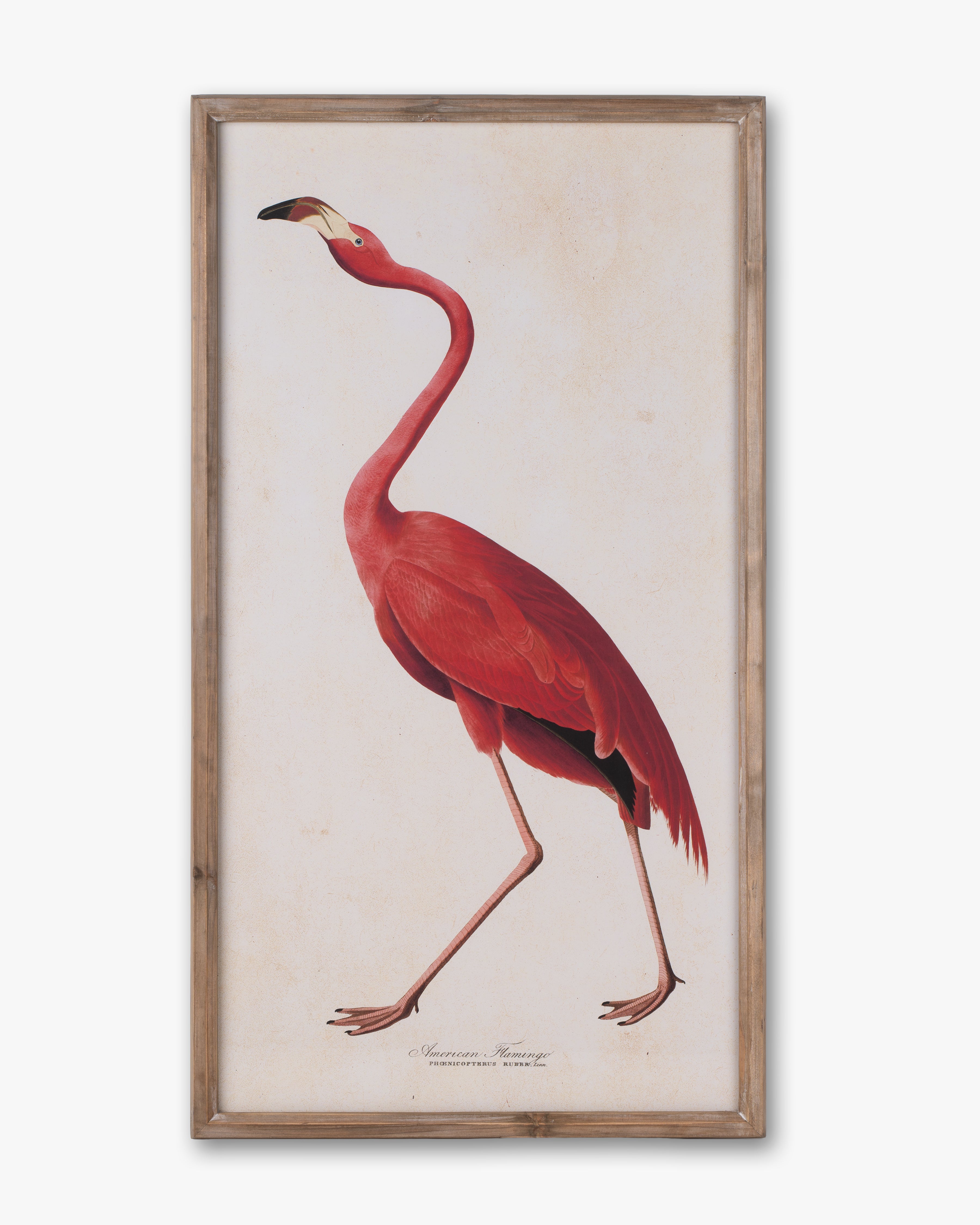 Flamingo Framed Wall Art B