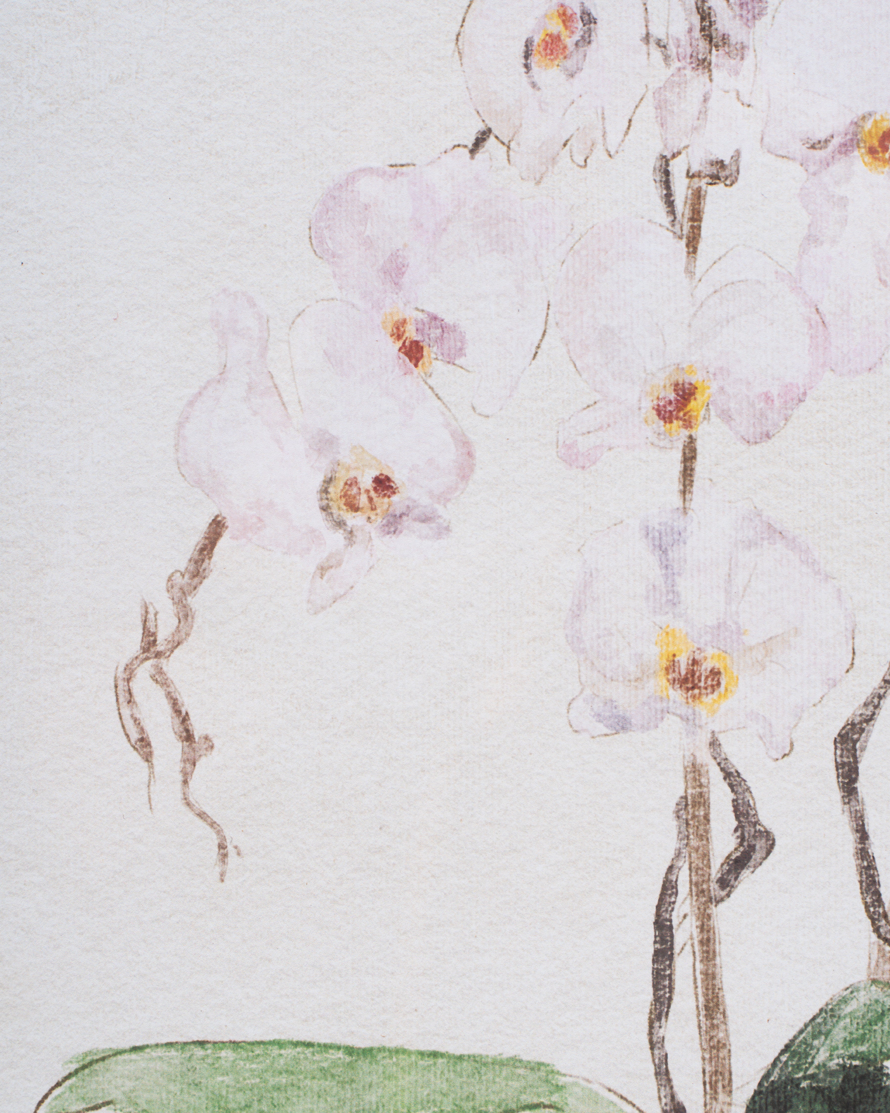 Orchid Framed Wall Art B