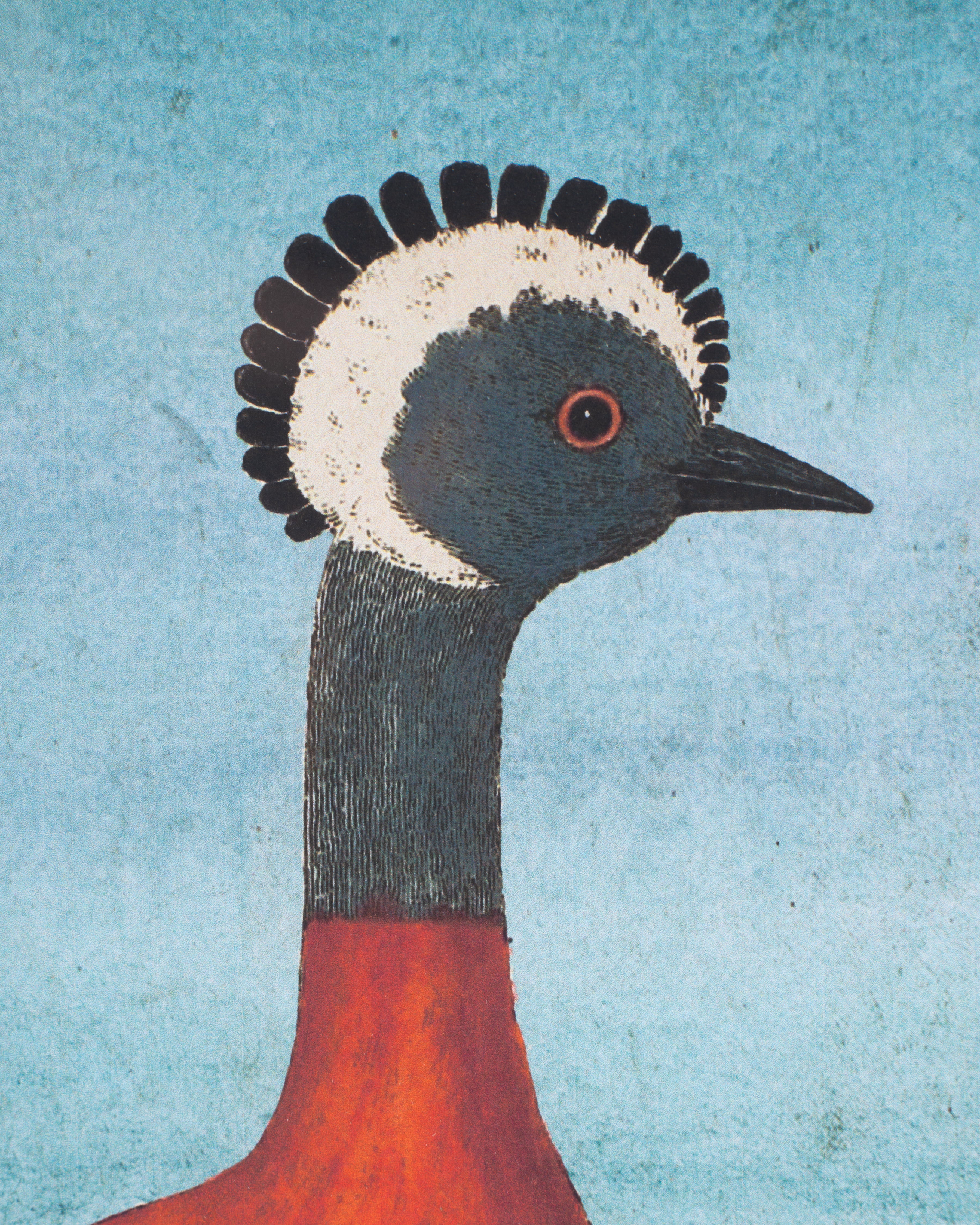 Bird Framed Wall Art B