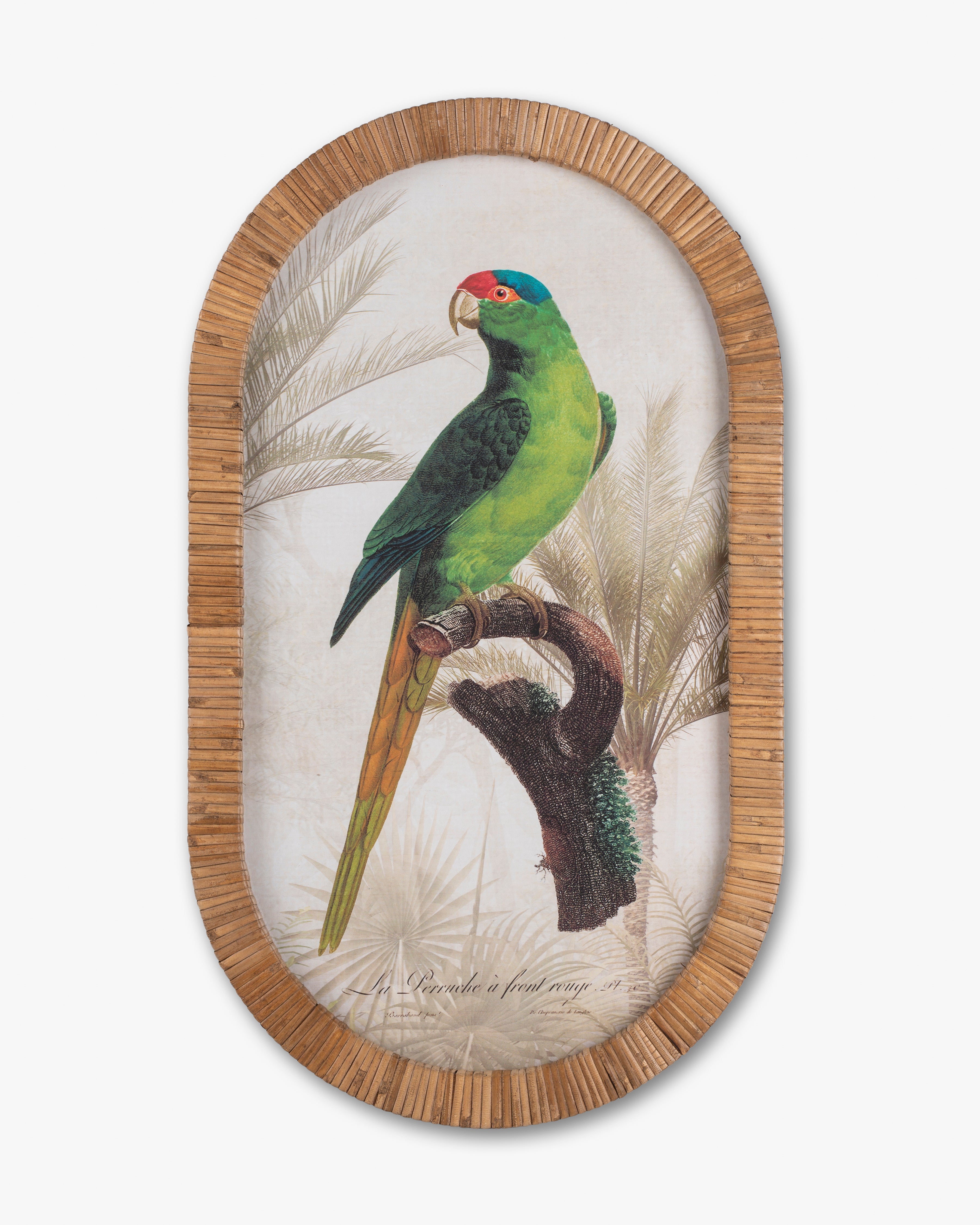Parrot Framed Wall Art B