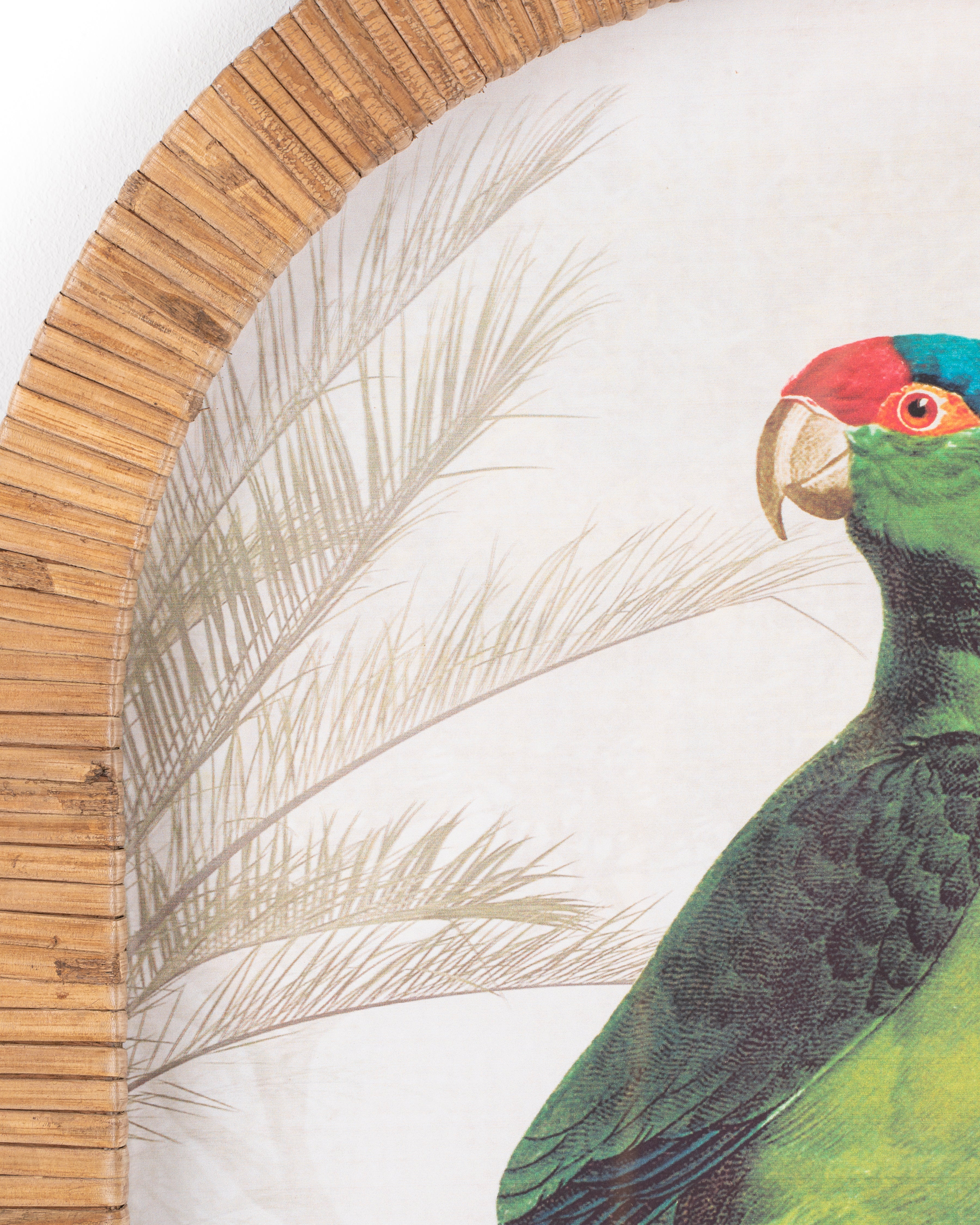 Parrot Framed Wall Art B