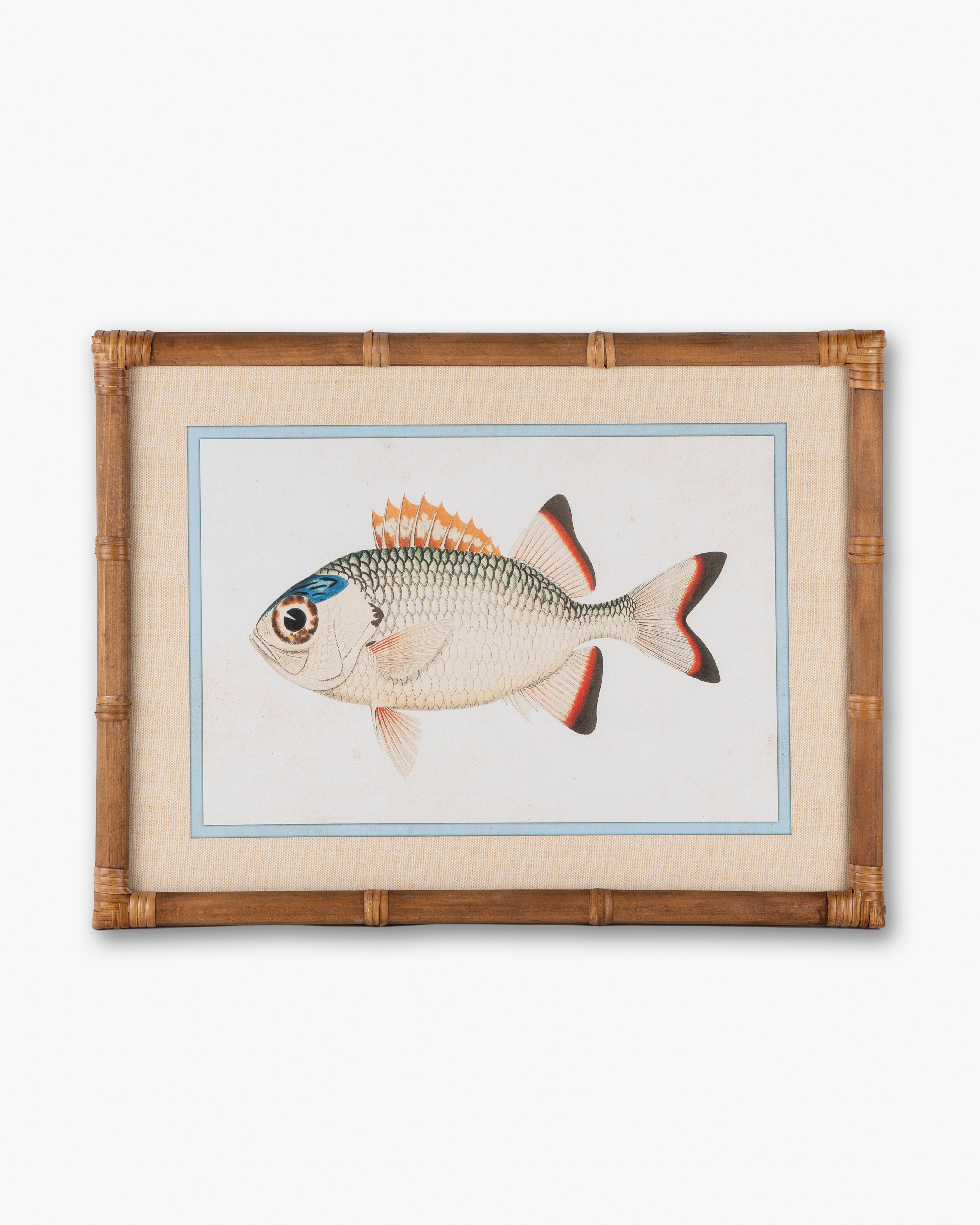 Fish Framed Wall Art B