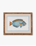 Fish Framed Wall Art C