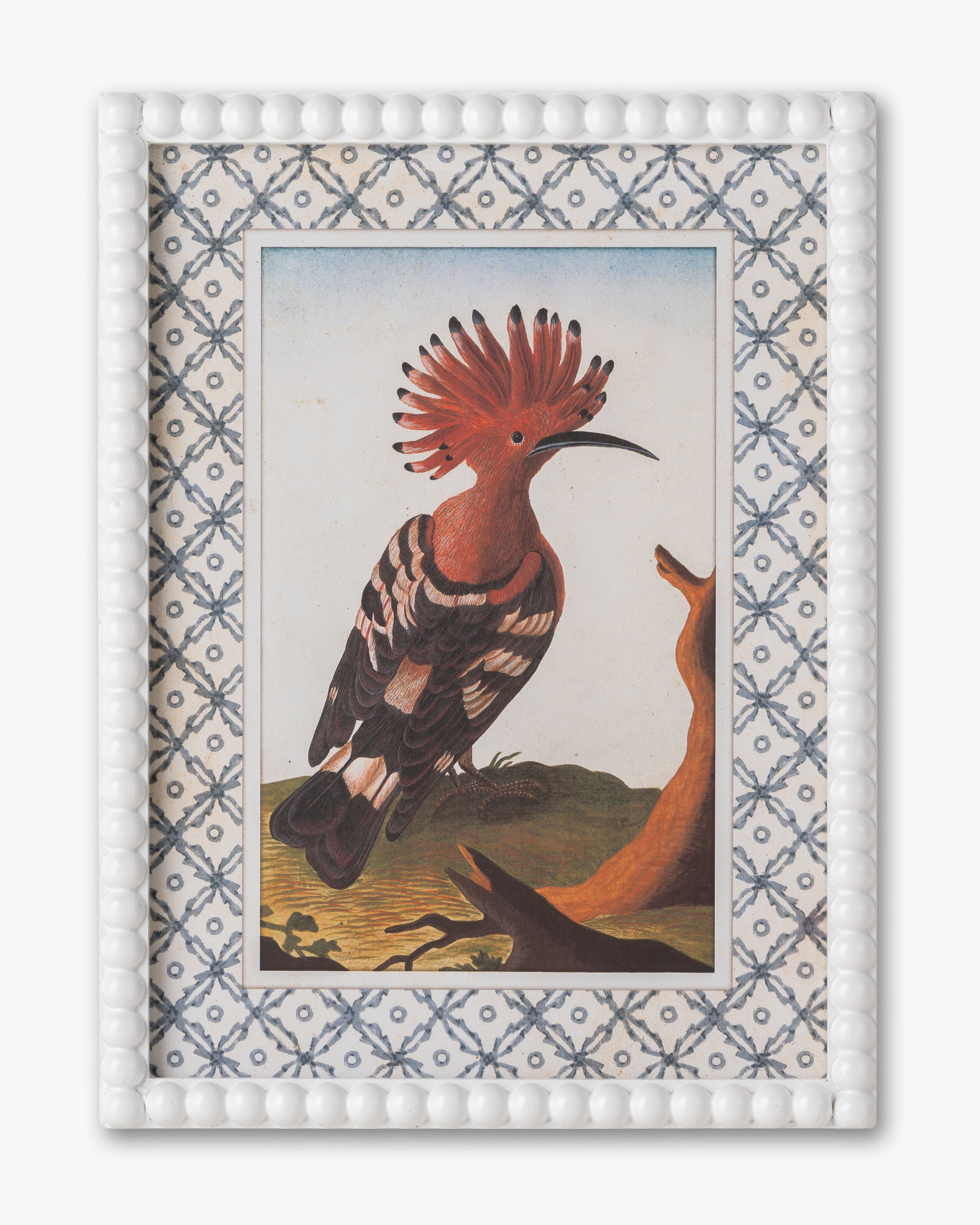 Vintage Songbird framed Wall Art A