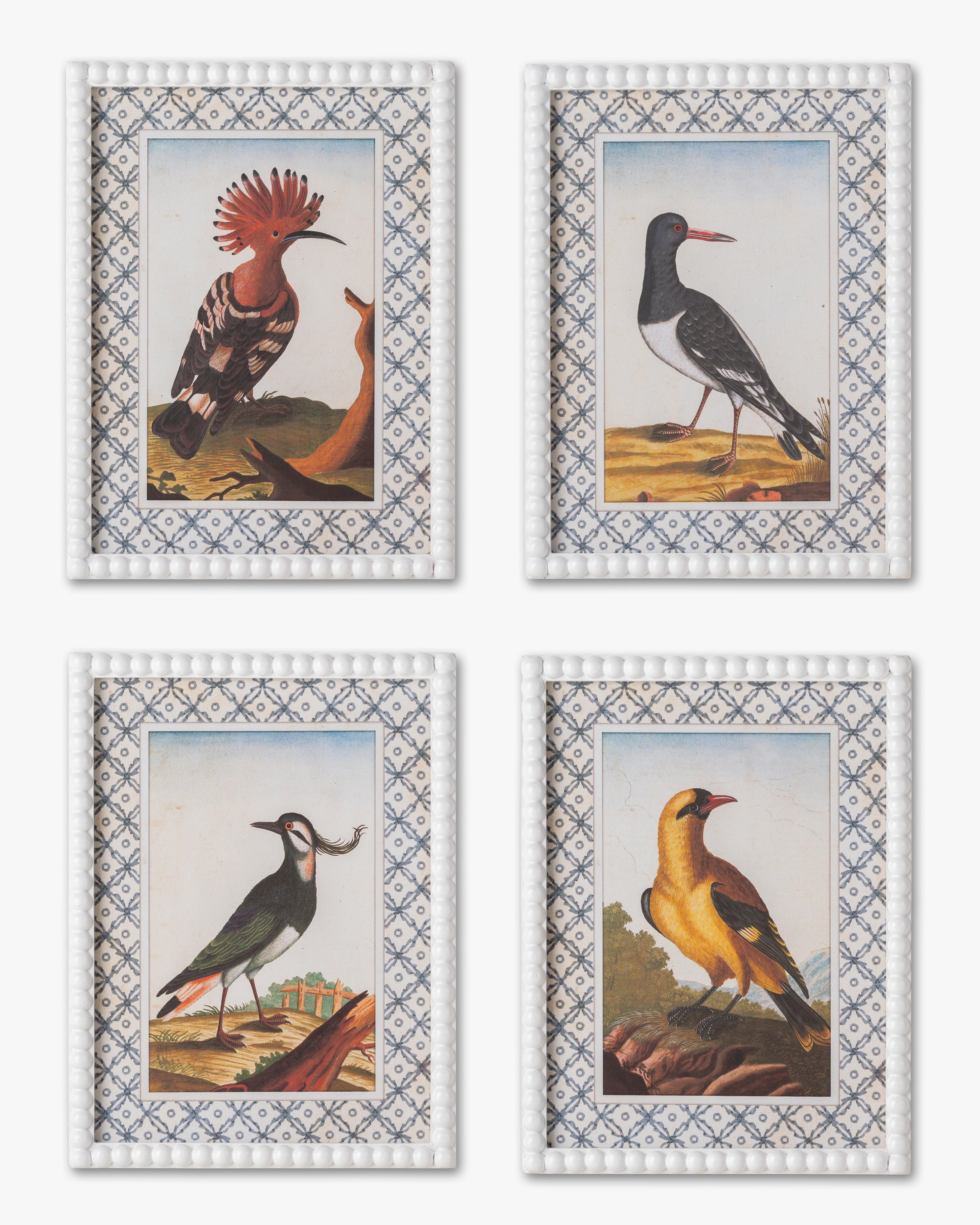 Vintage Songbird framed Wall Art D