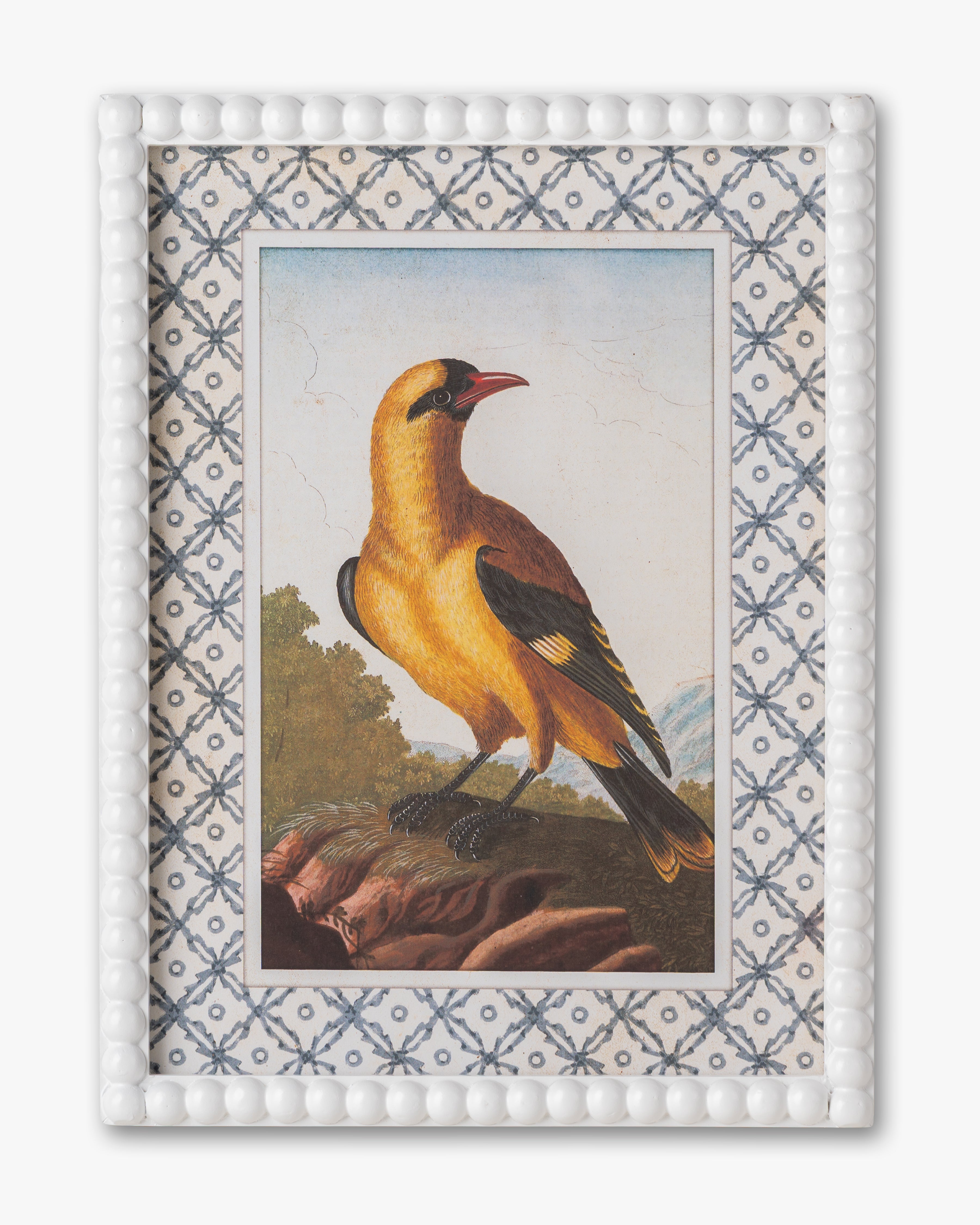 Vintage Songbird framed Wall Art B