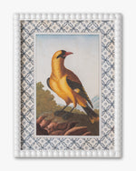 Vintage Songbird framed Wall Art B