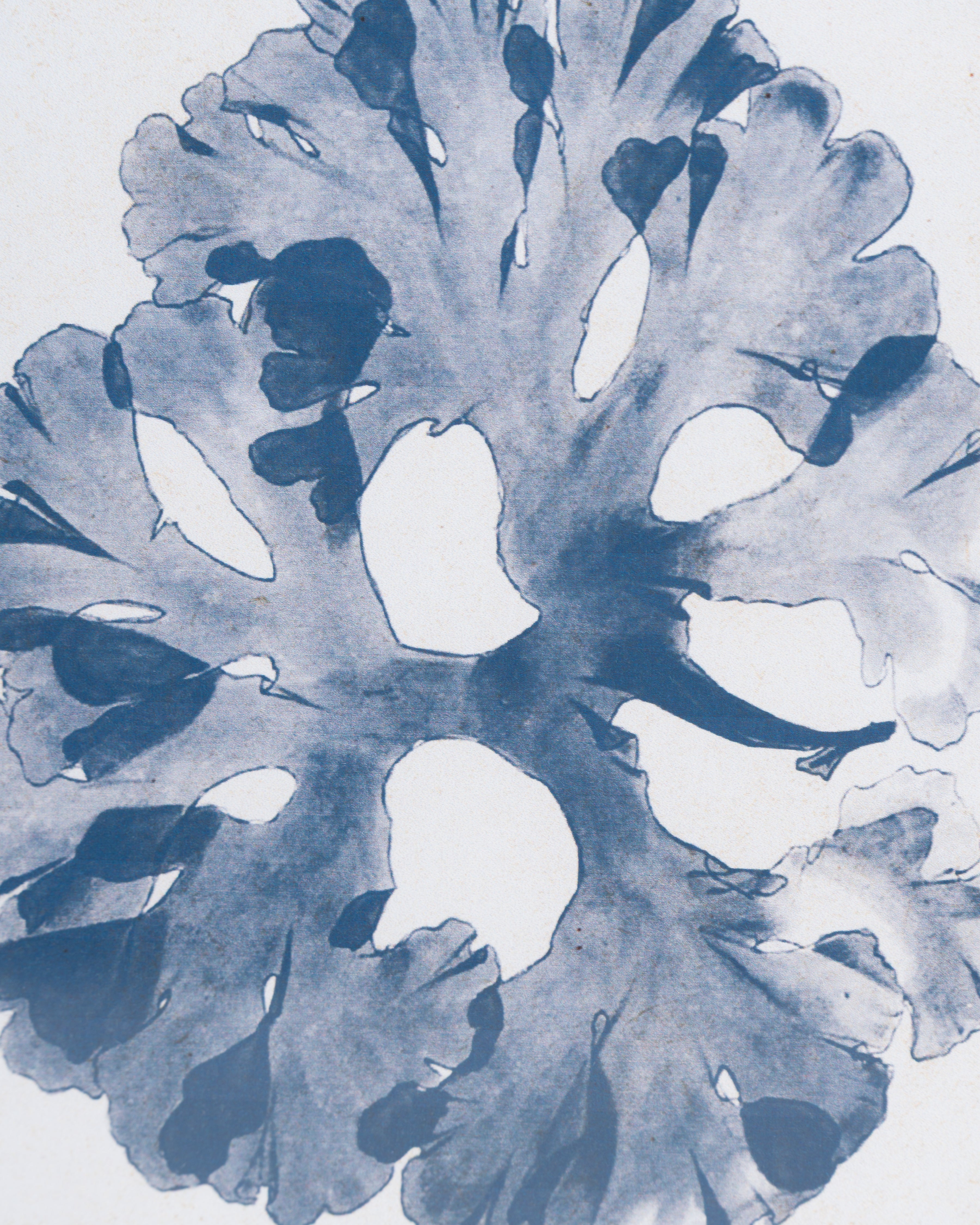 Coral Framed Wall Art D