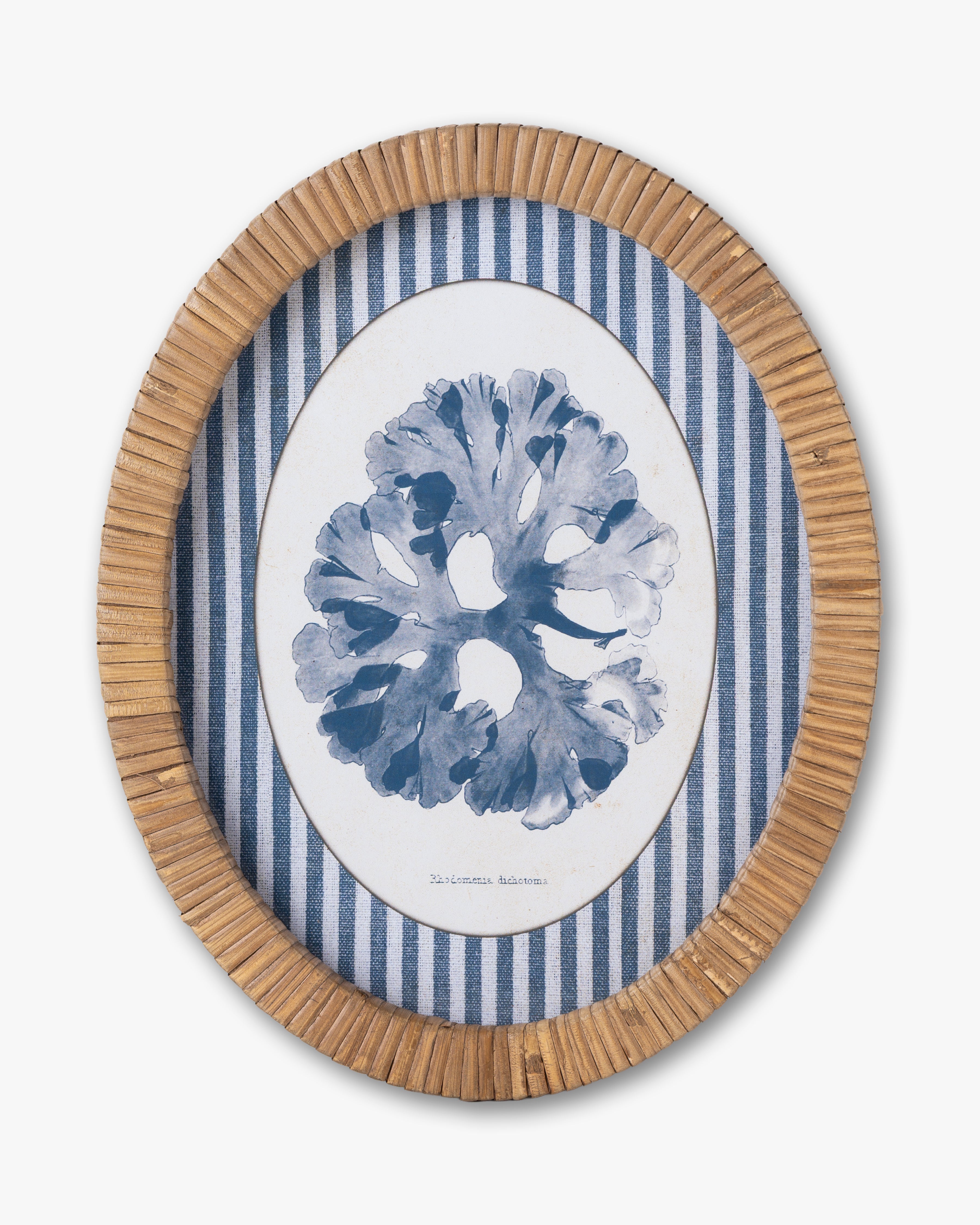 Coral Framed Wall Art D