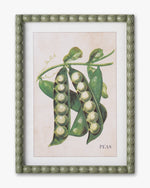 Garden Harvest Wall Art F