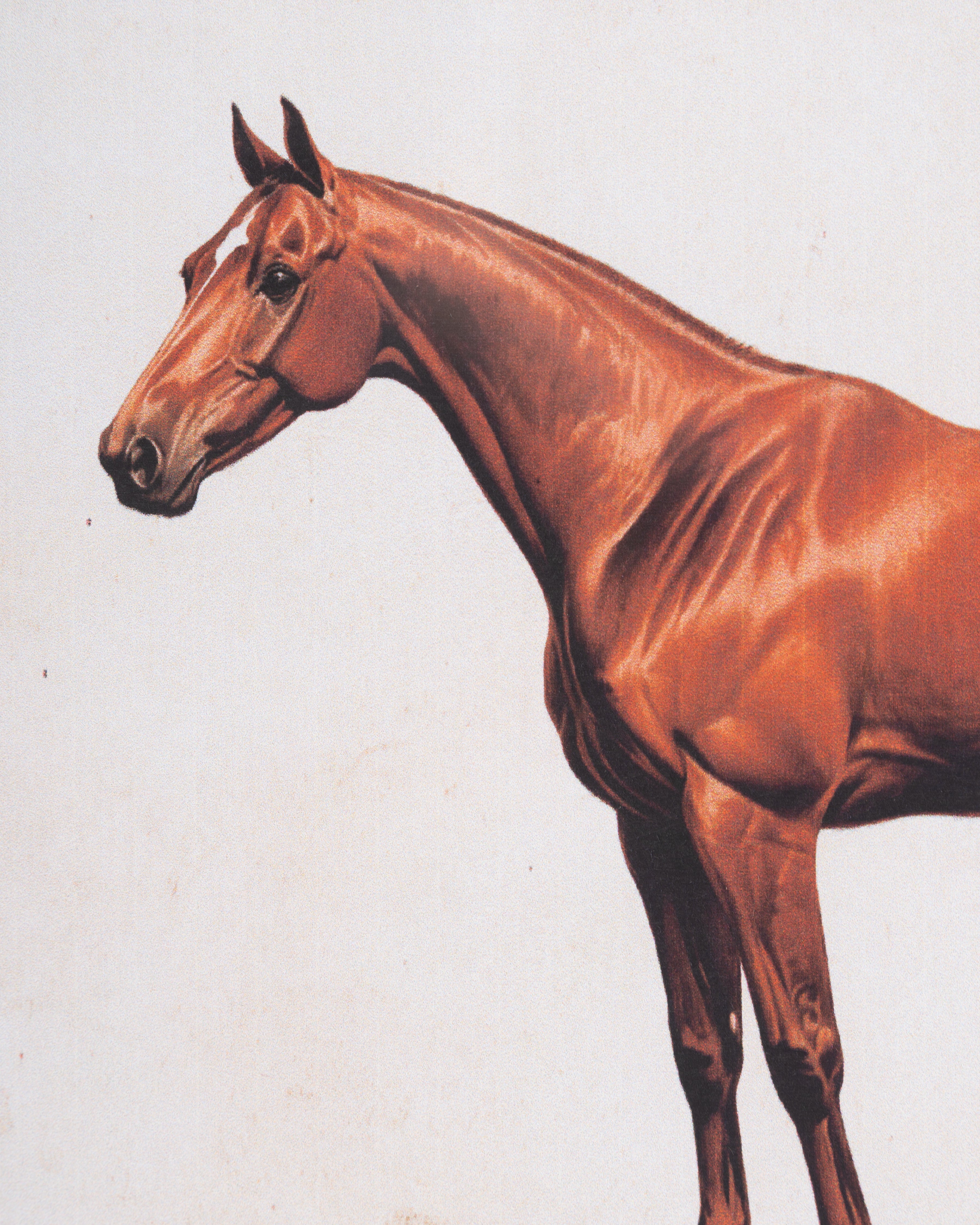 Horse Framed Wall Art A