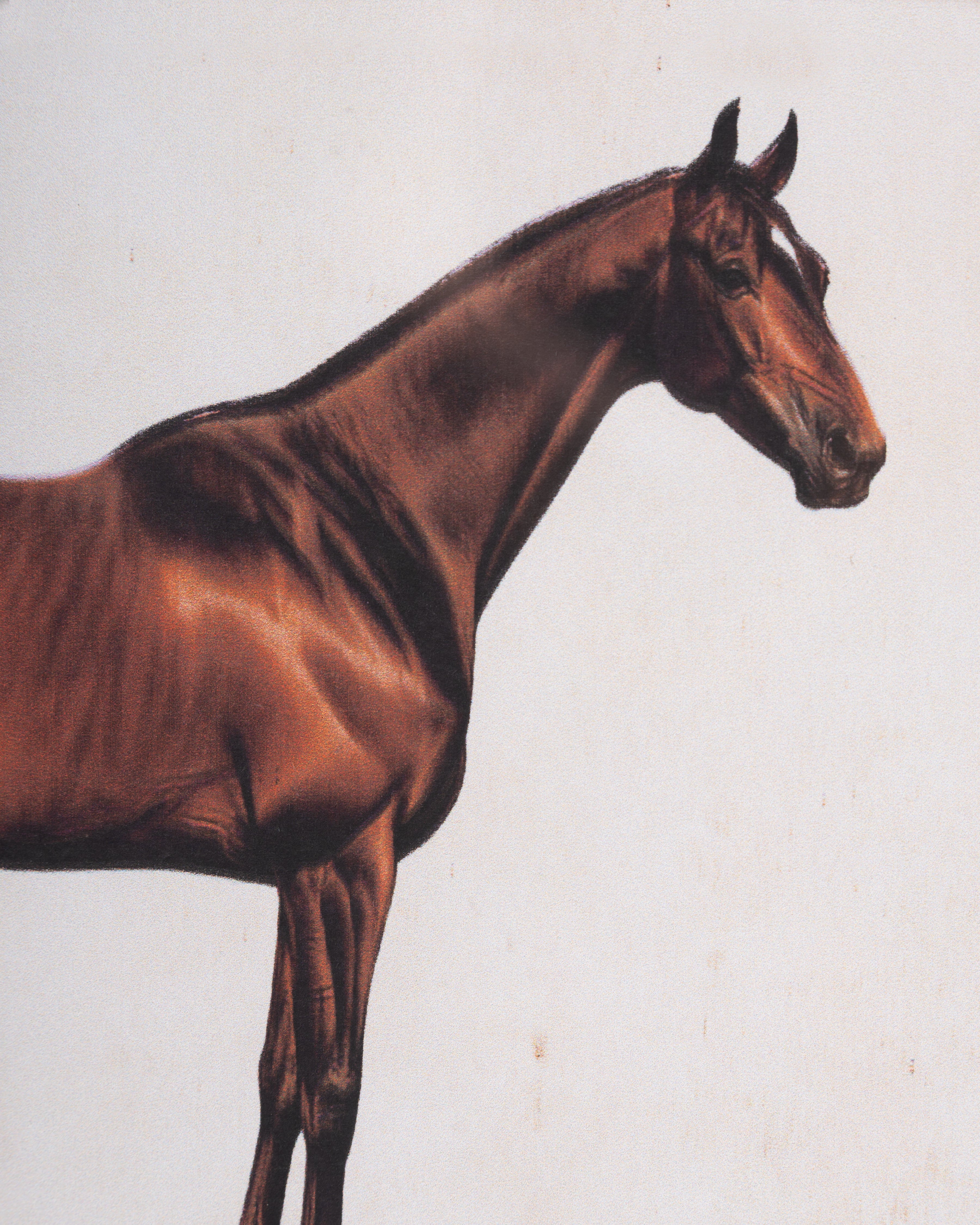 Horse Framed Wall Art B