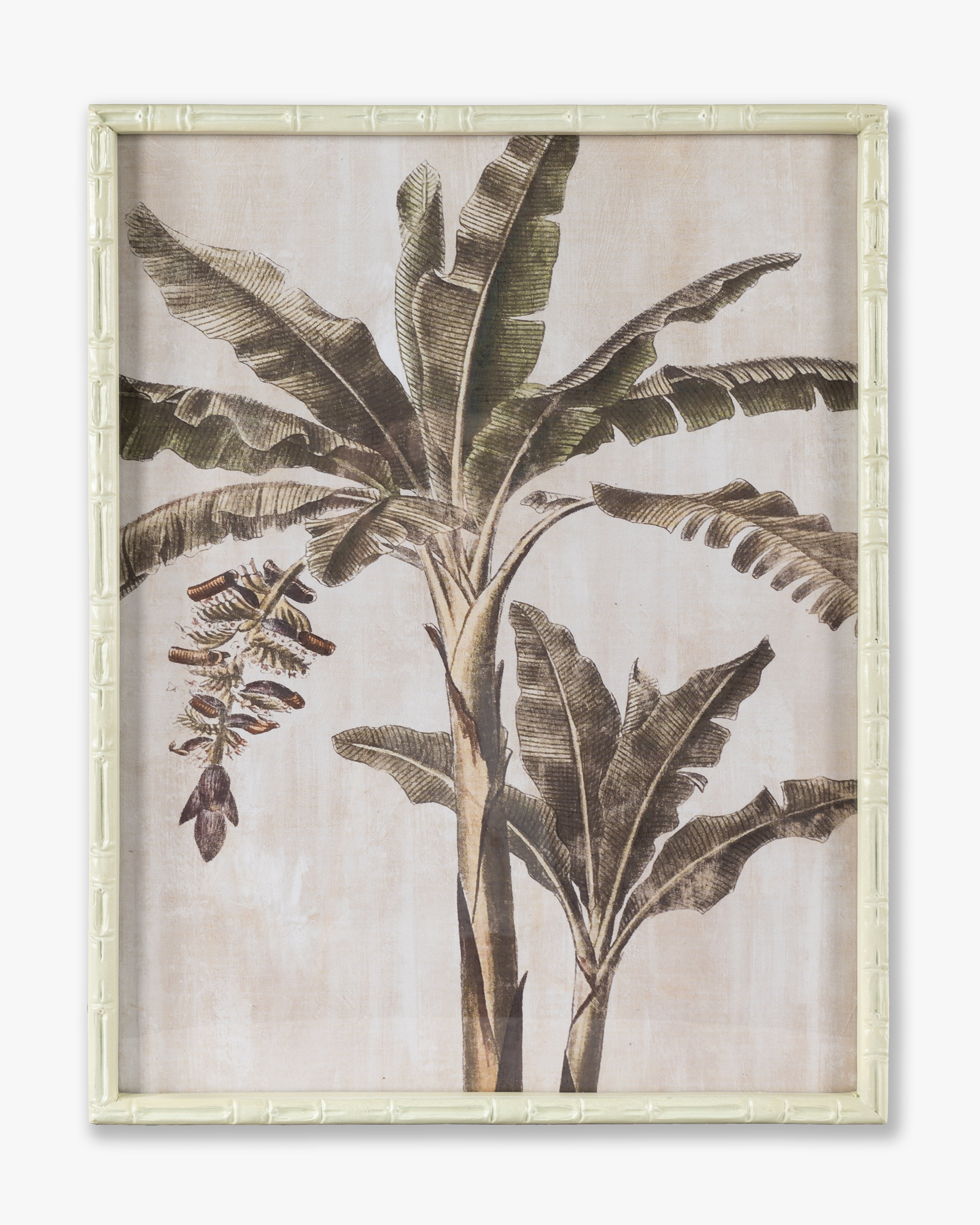 Banana Tree Framed Wall Art A