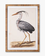 Water Bird Framed Wall Art A