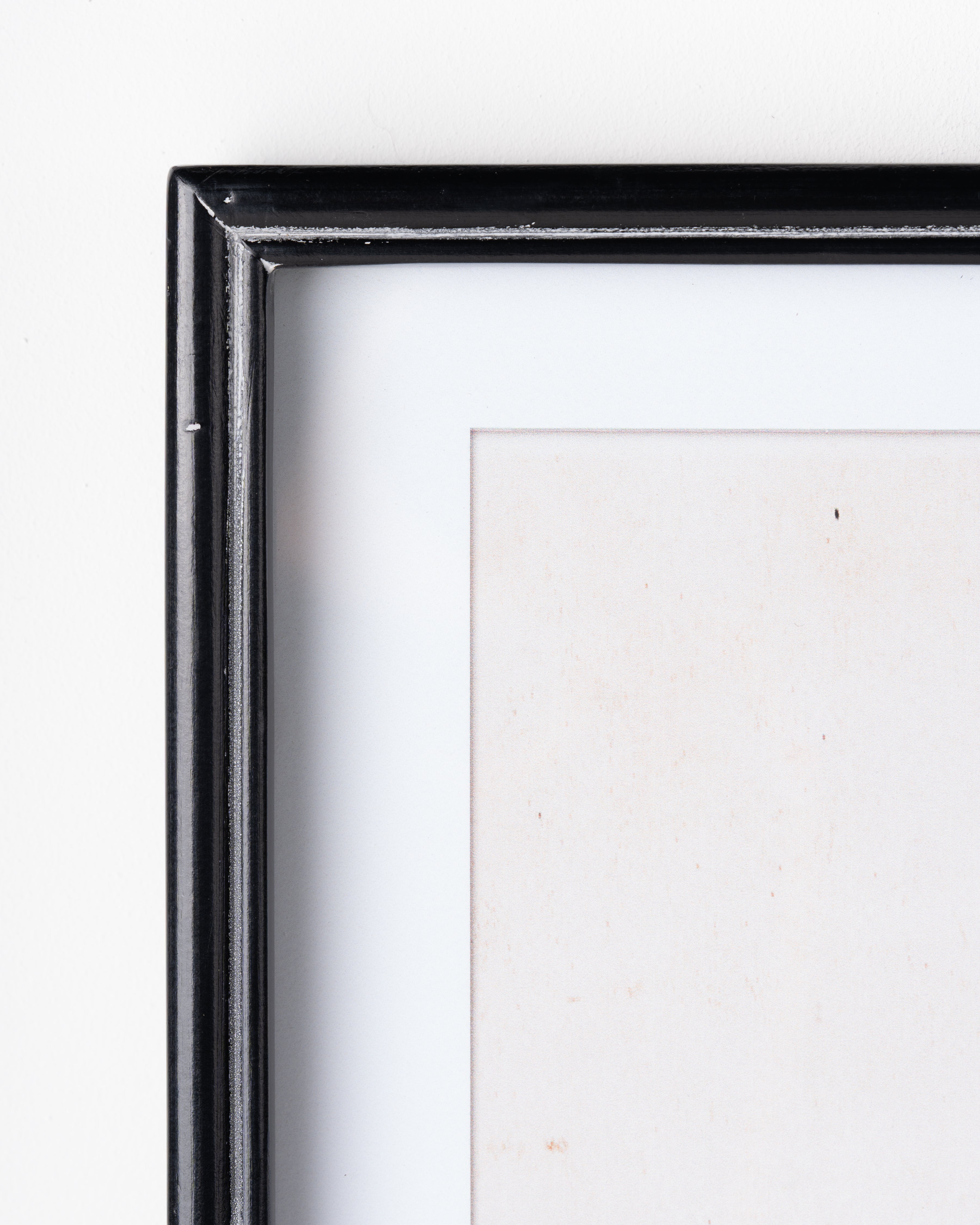 Antique Bird Framed Wall Art B
