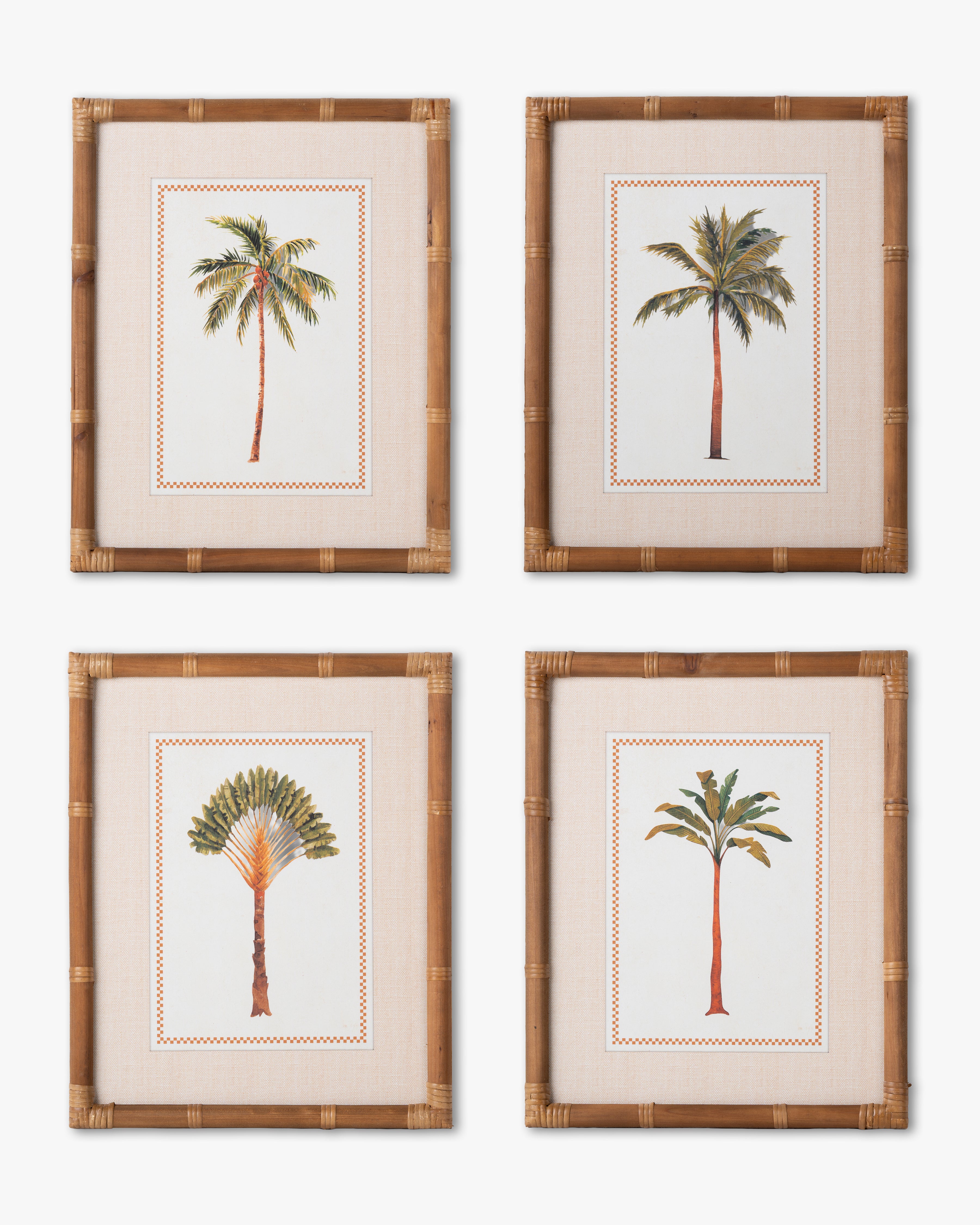 Tropical Palm Framed Wall Art C