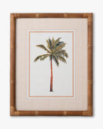Tropical Palm Framed Wall Art B
