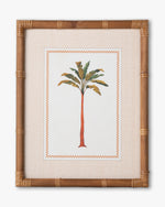 Tropical Palm Framed Wall Art D