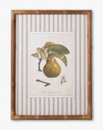 Vintage Pear Framed Wall Art B