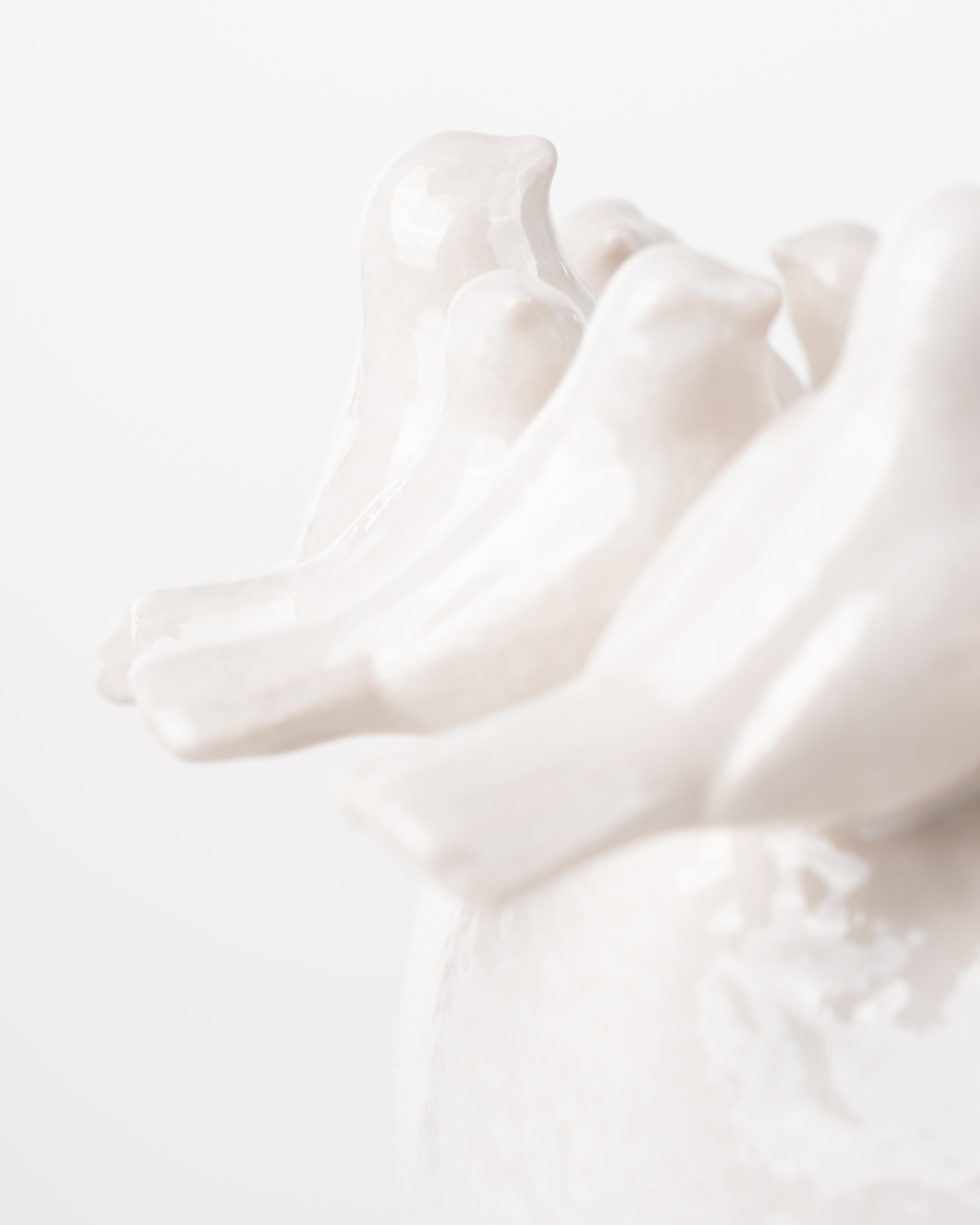 Bird Ceramic Vase