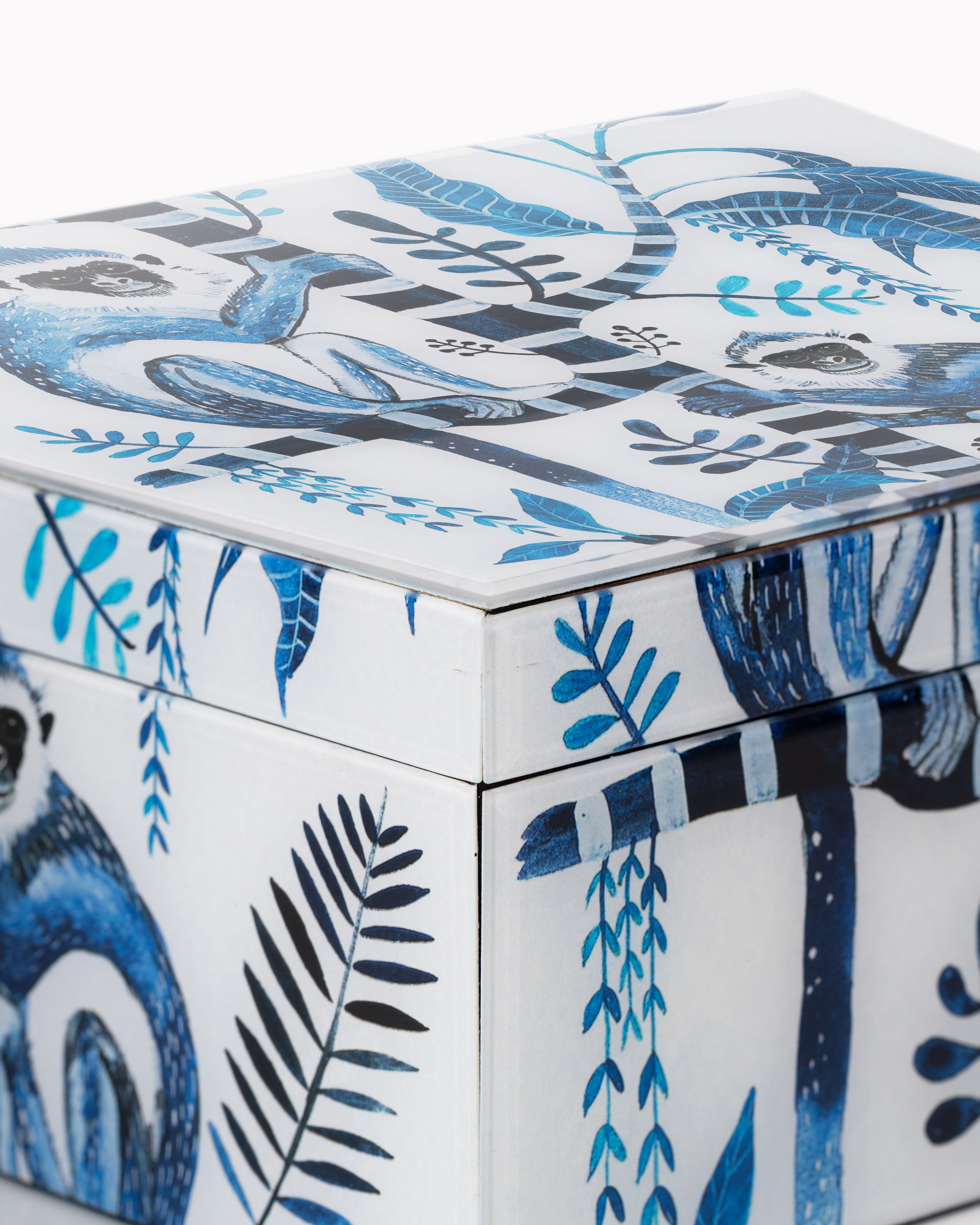 Palm Monkey Glass Storage Box | Large