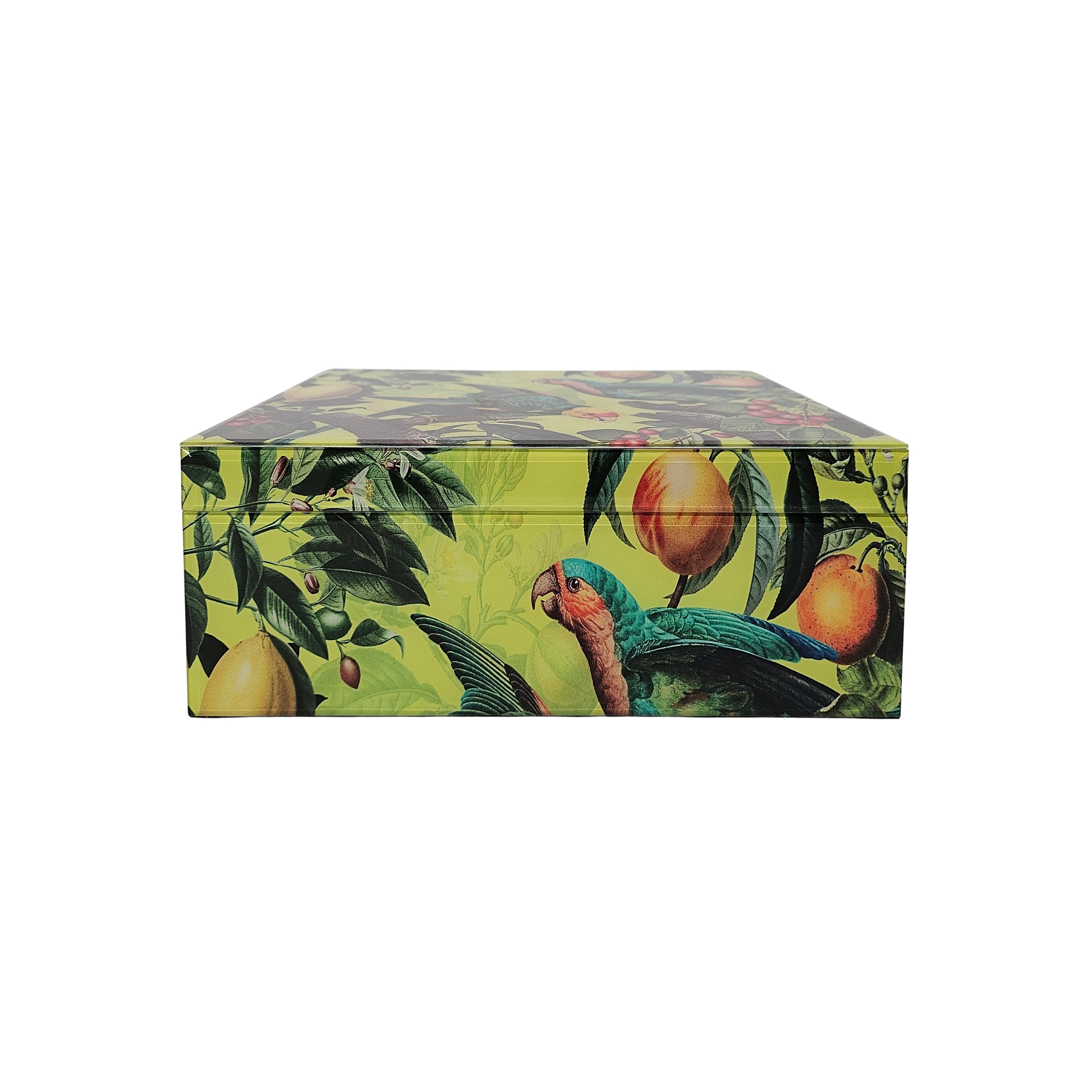 Tropical Parrot Storage Box | Large