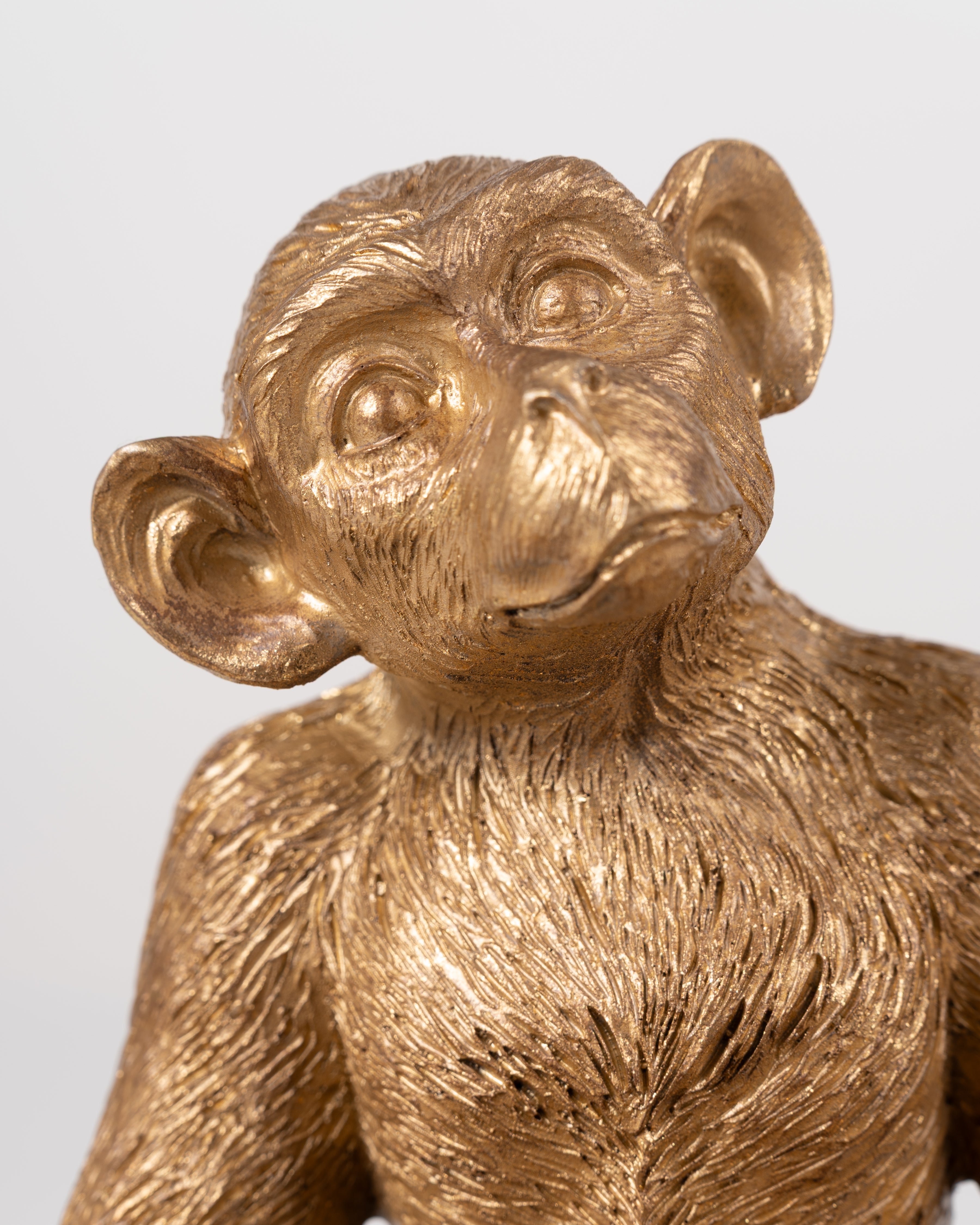 Golden Monkey Bowl