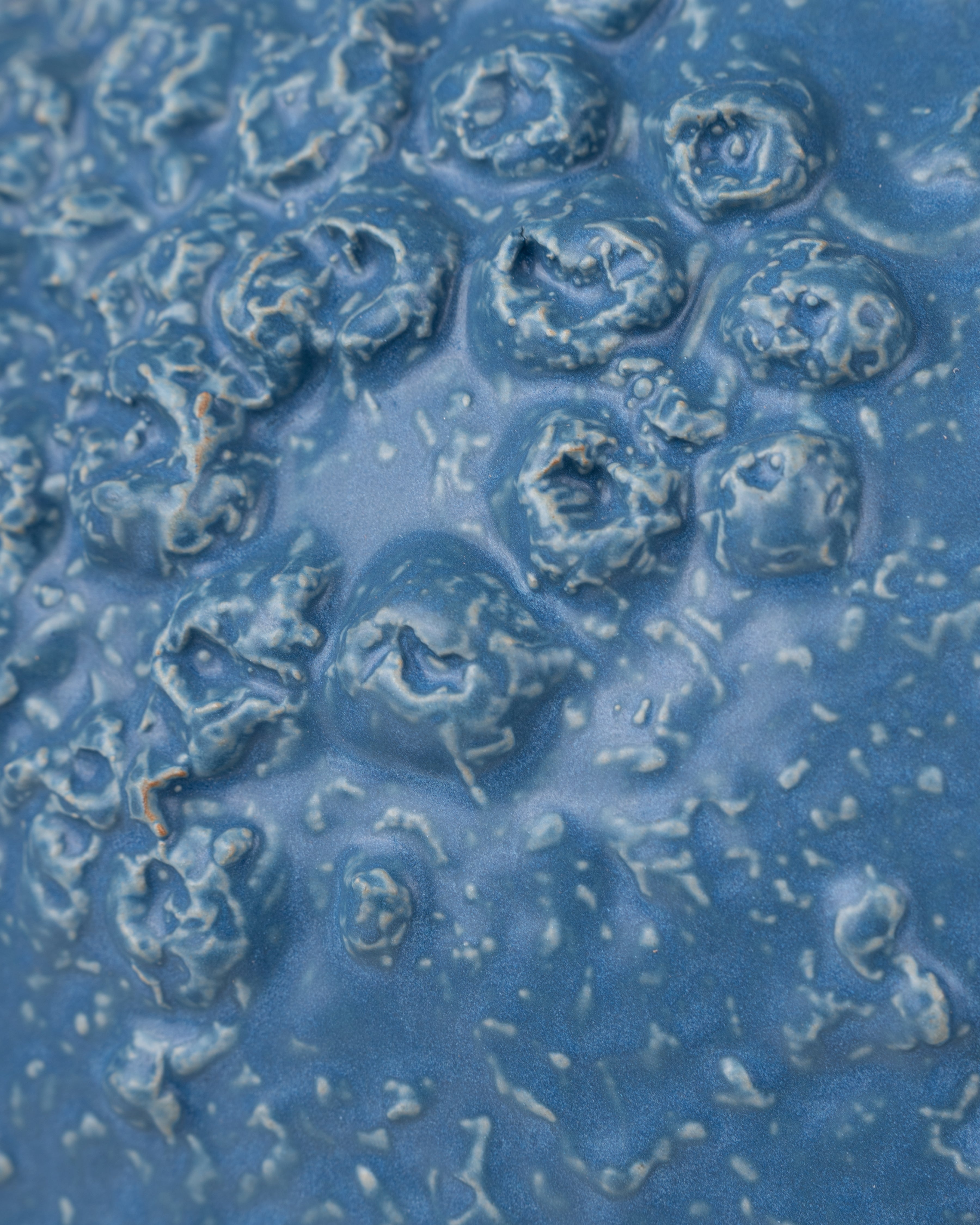 Barnacle Ceramic Vase