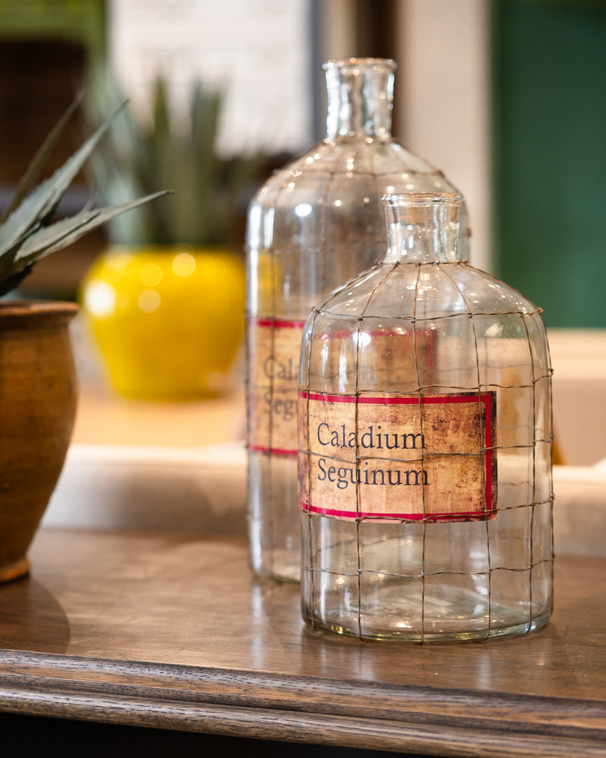 Vintage Wire Glass Vase | Large