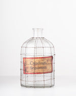Vintage Wire Glass Vase | Small