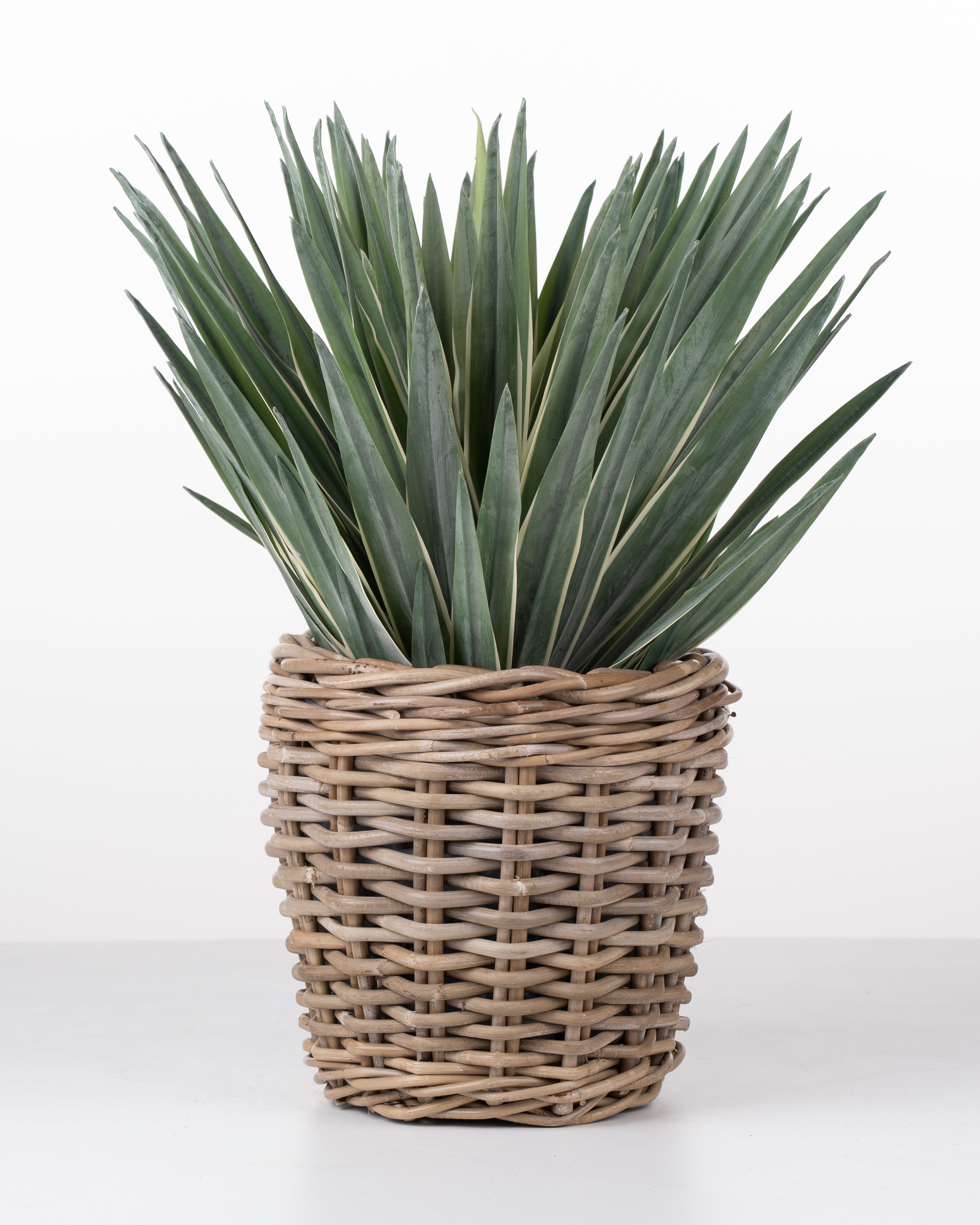 Faux Sisal Plant | 49cm