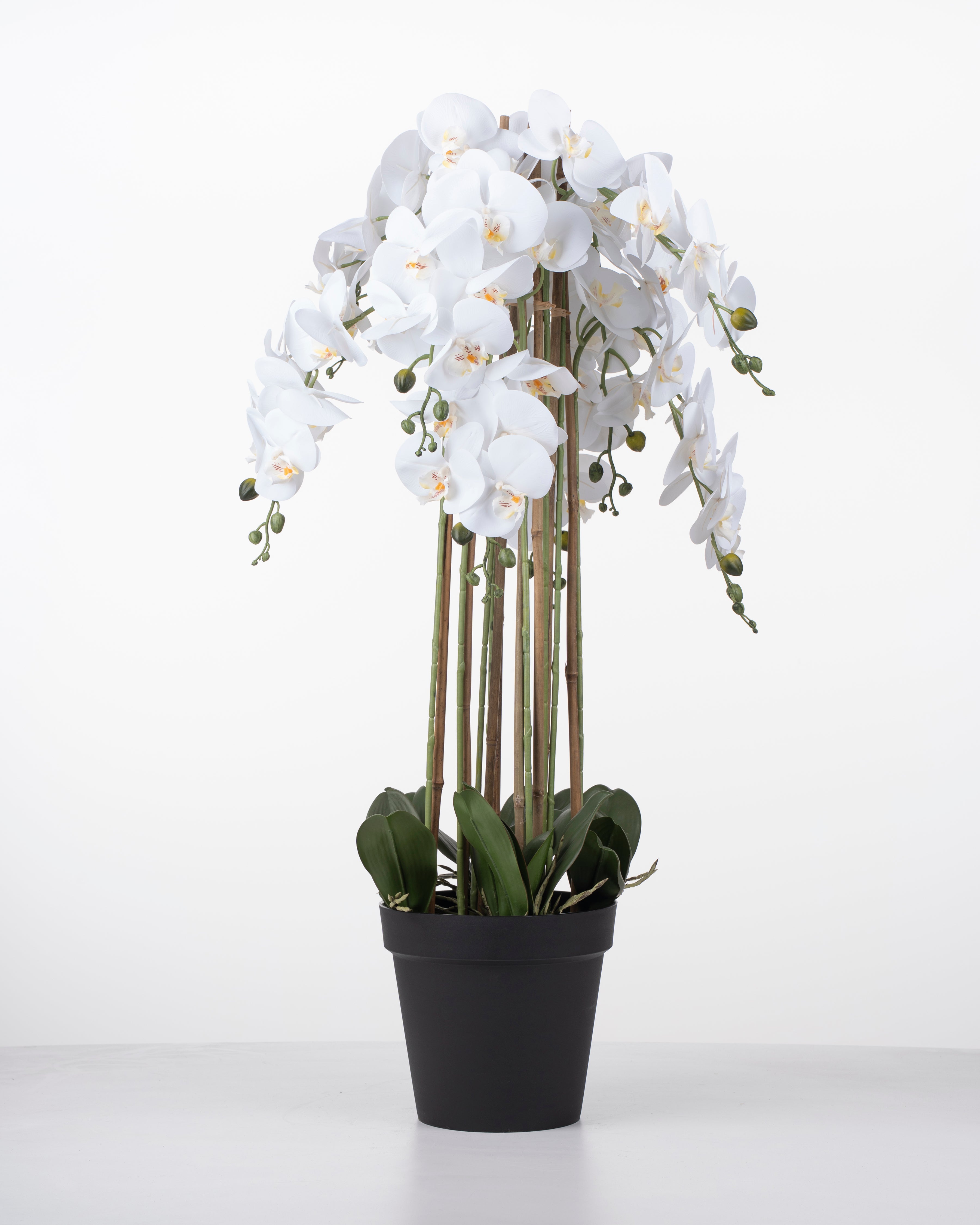 Faux Orchid Plant