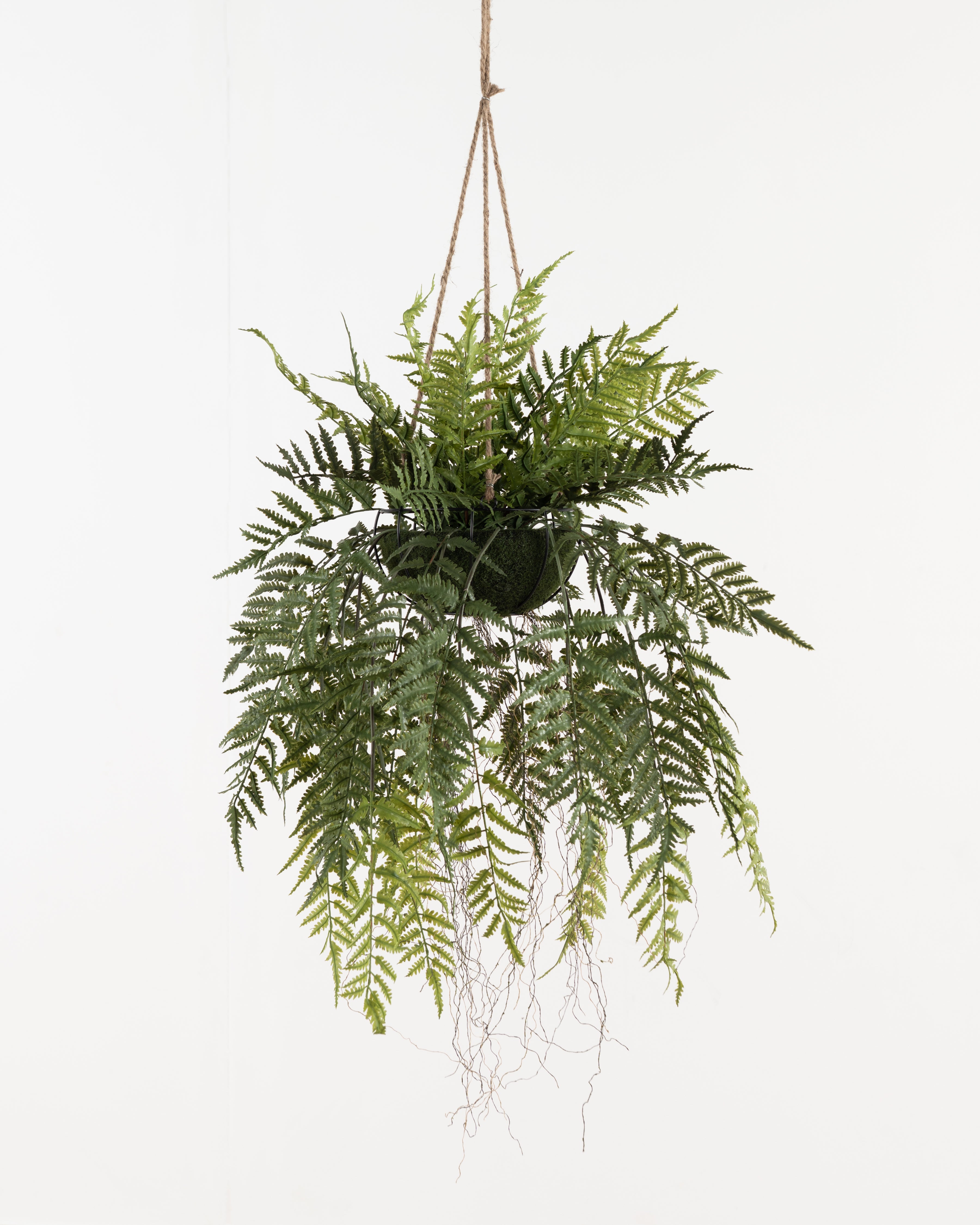 Faux Hanging Fern