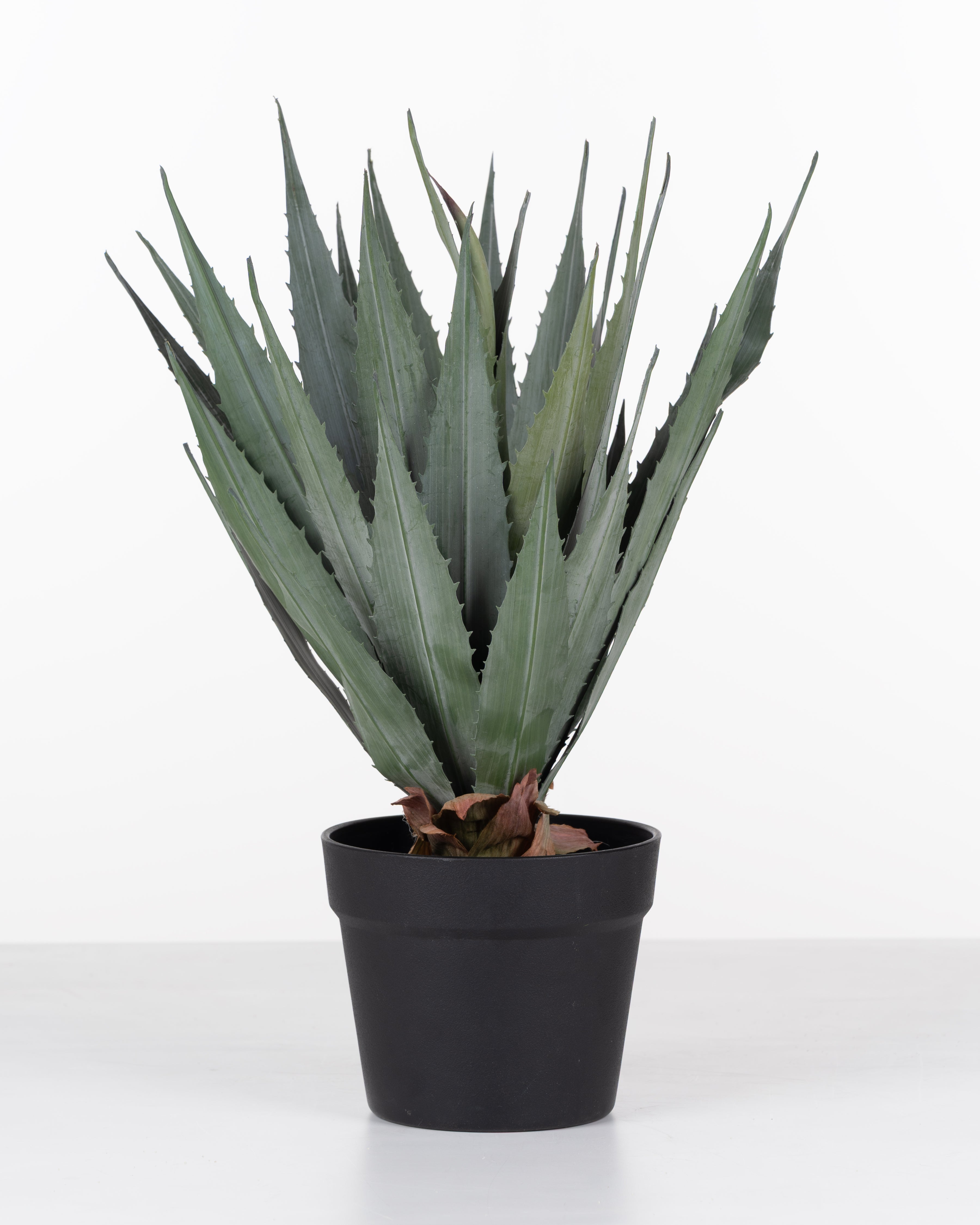 Faux Lechuguilla Plant | 45cm