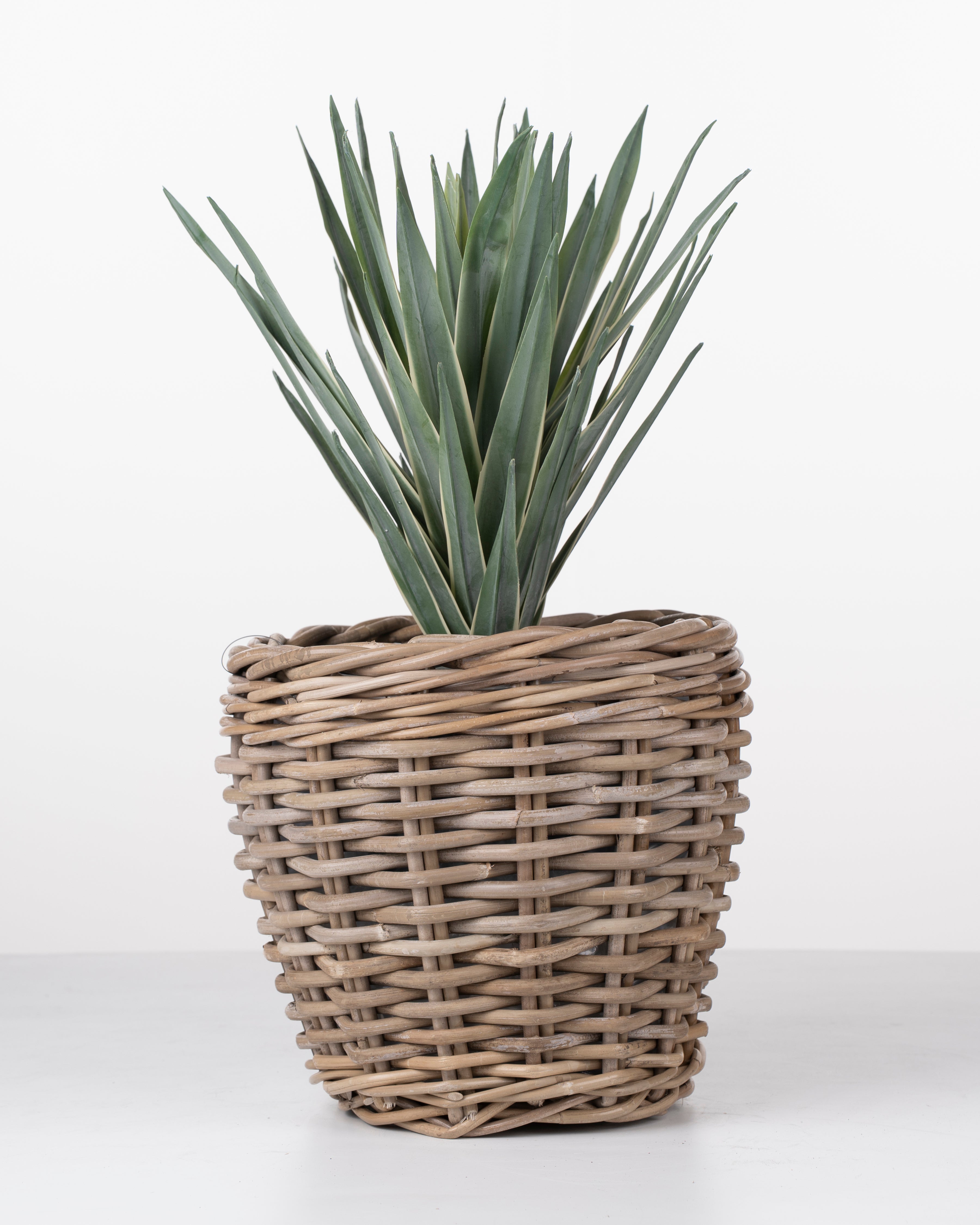 Faux Sisal plant