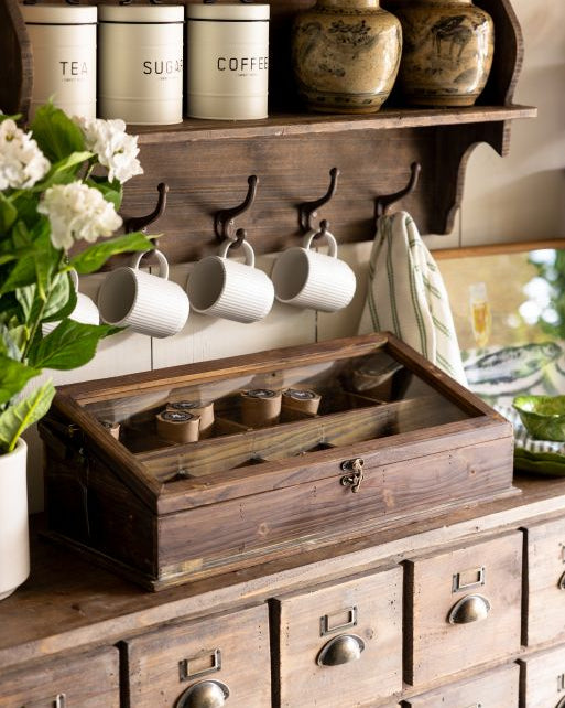 Greenhouse Terrarium Display Chest