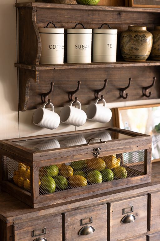 Greenhouse Botanica Box | Large