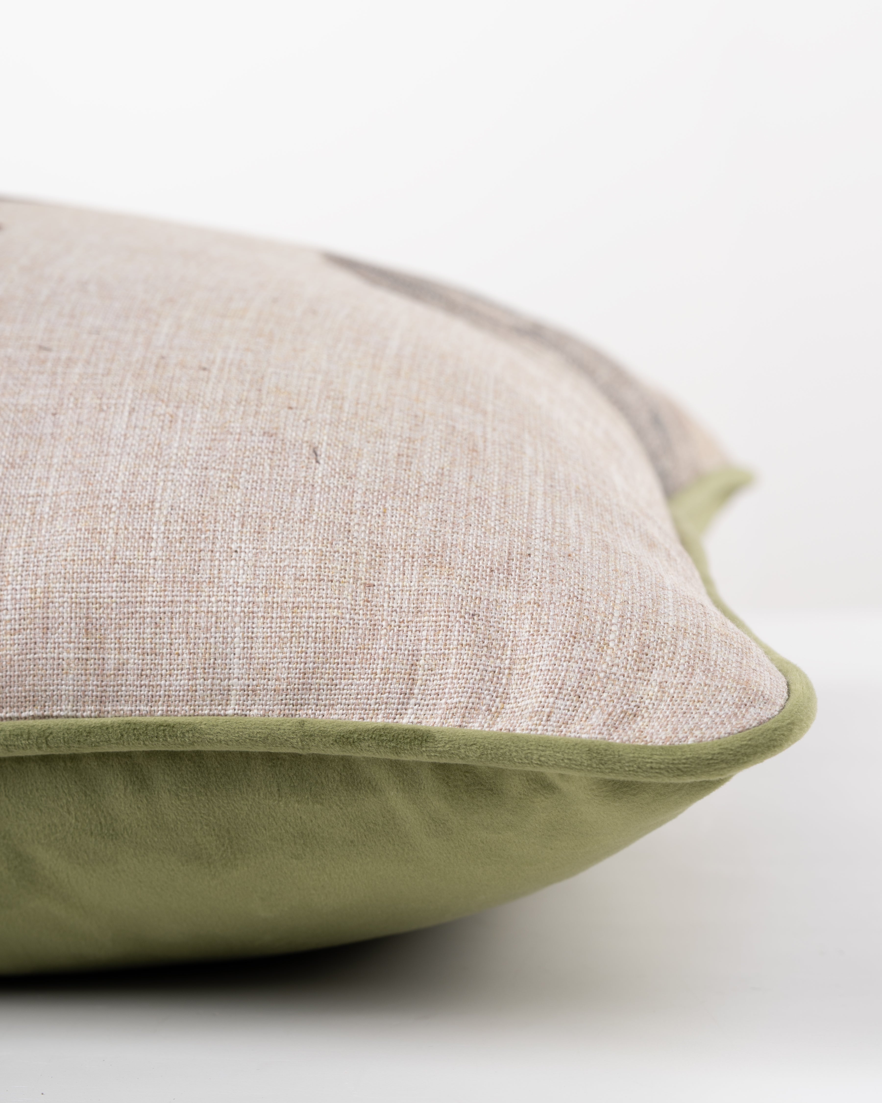Ancient Monkey Cushion
