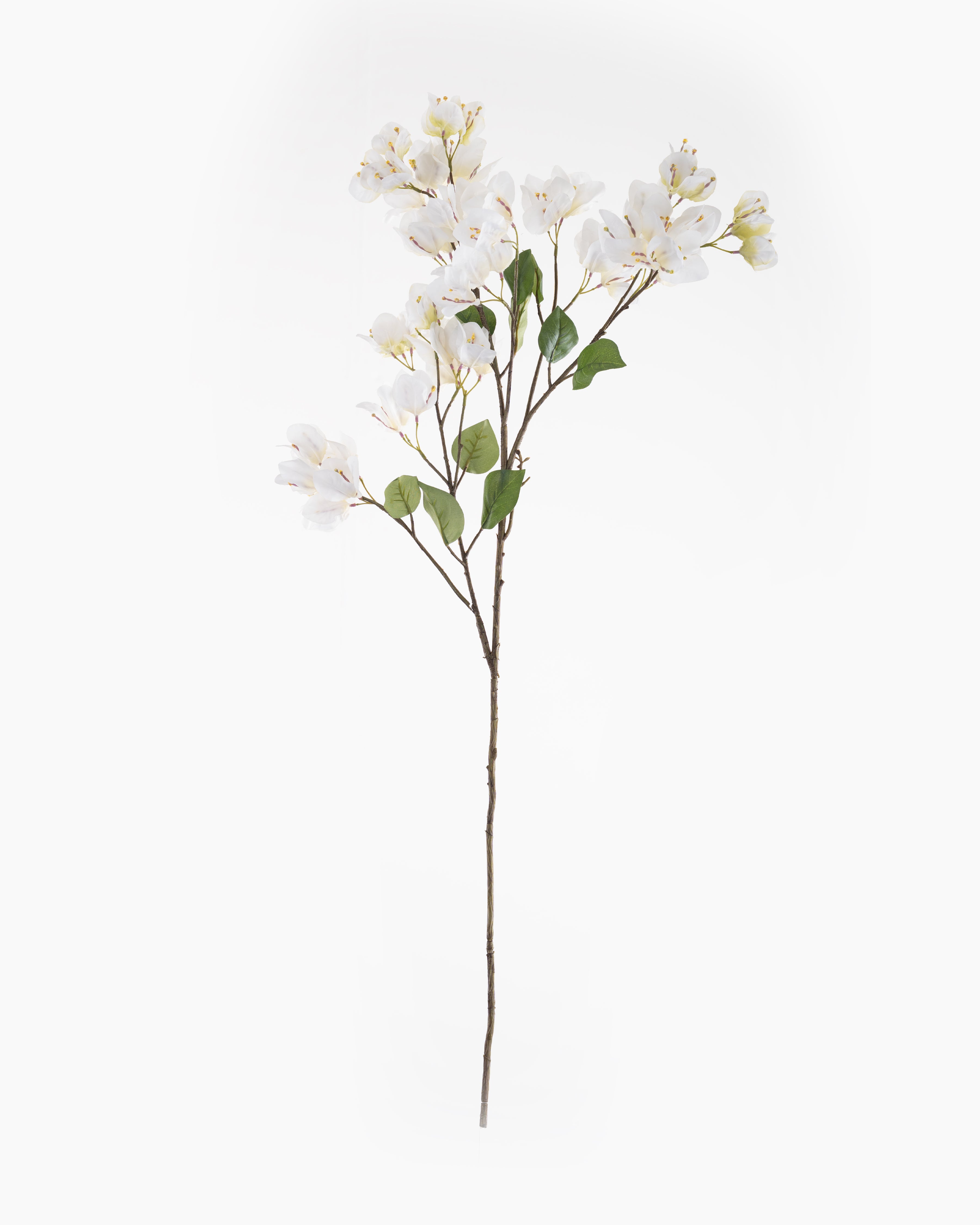 Bougainvillea Spray | White