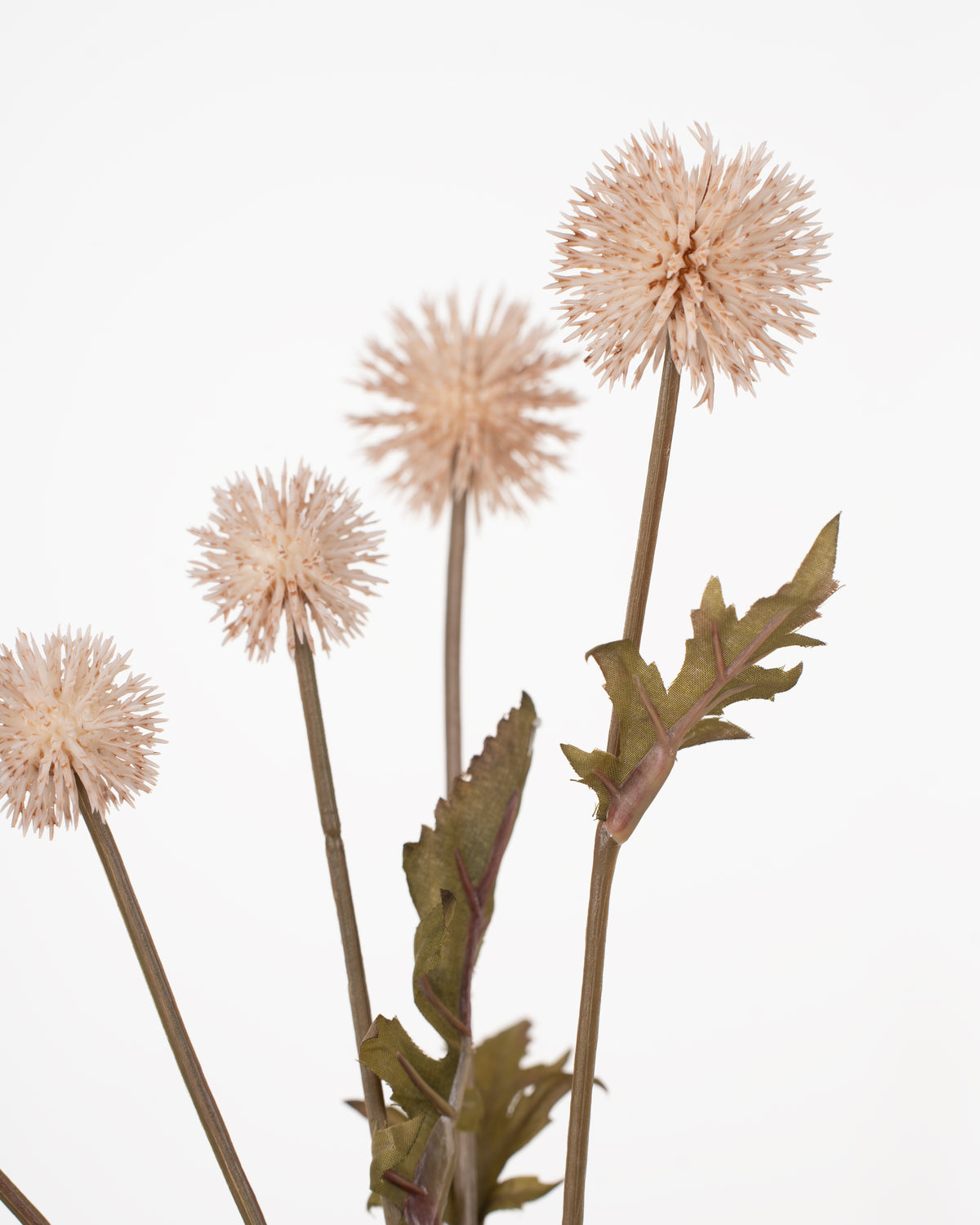 Meadow Thistle Spray | Natural
