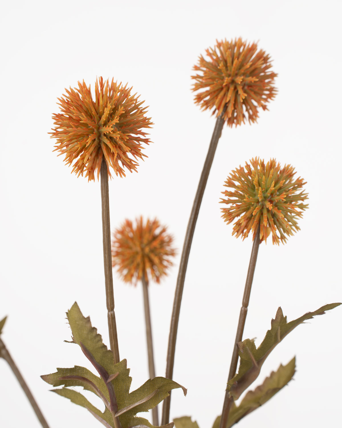 Meadow Thistle Spray | Gold